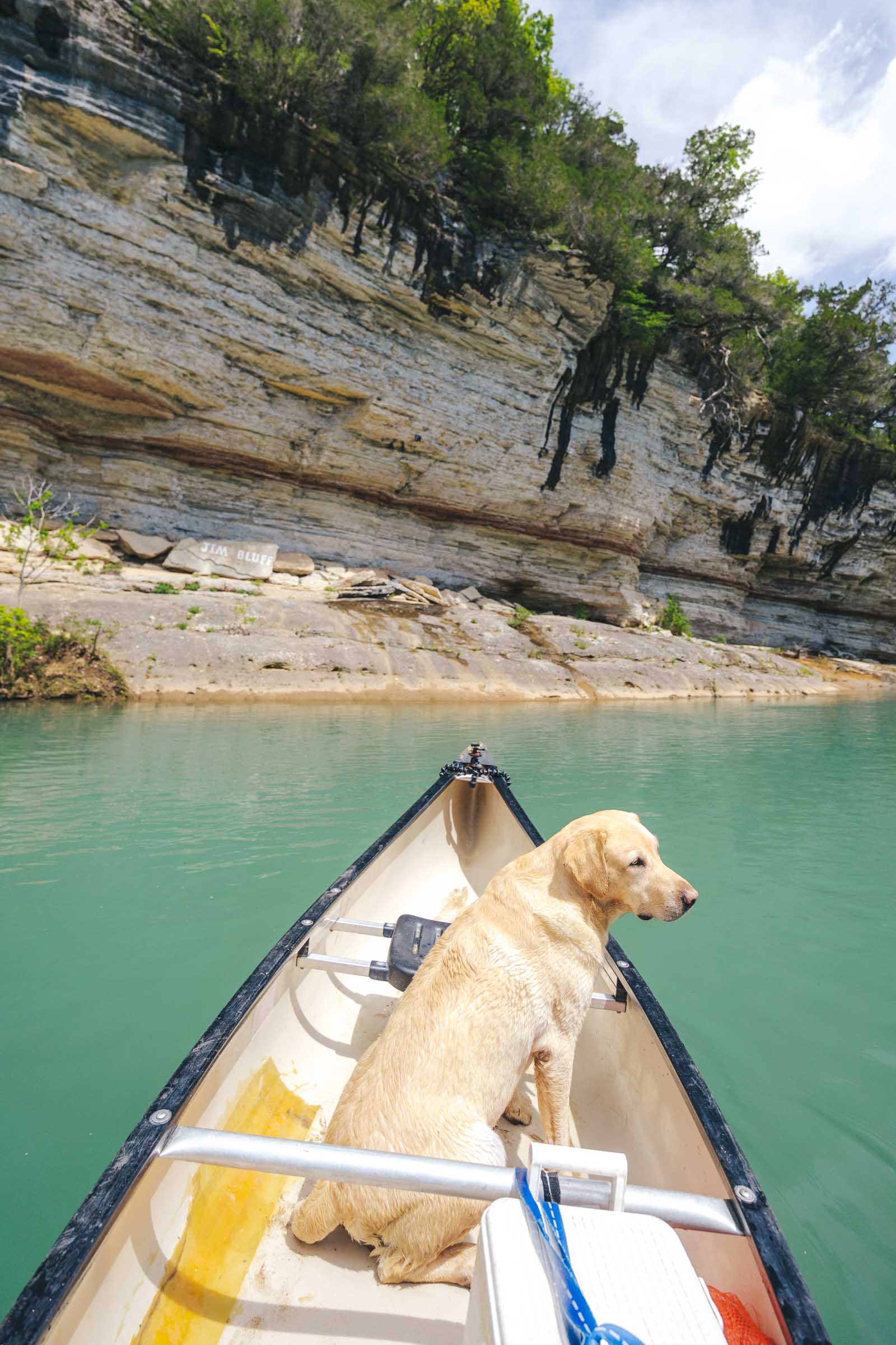 How to Float the Buffalo River in Arkansas: Complete Guide 13 Floating the Buffalo River with a dog