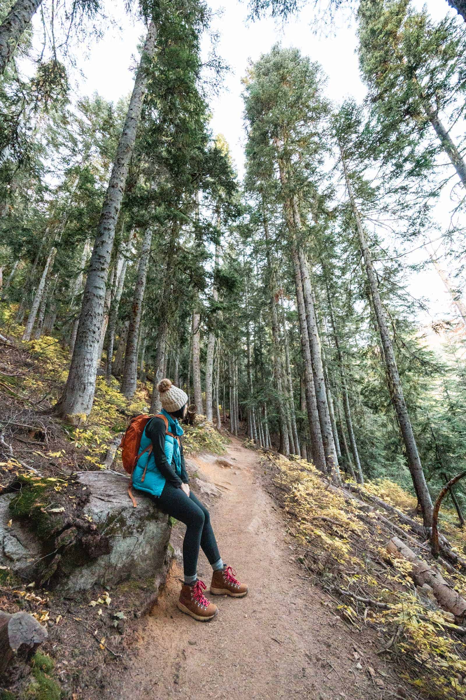 Maple Pass Loop in the North Cascades: Complete Hiking Guide 23 Hiking through forest on Maple Pass Loop