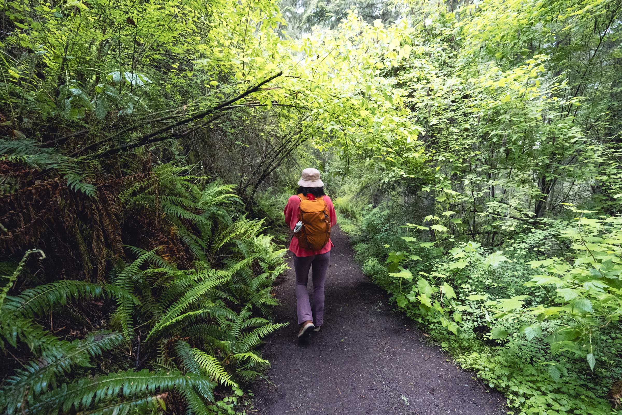 Goose Rock summit trail Deception Pass