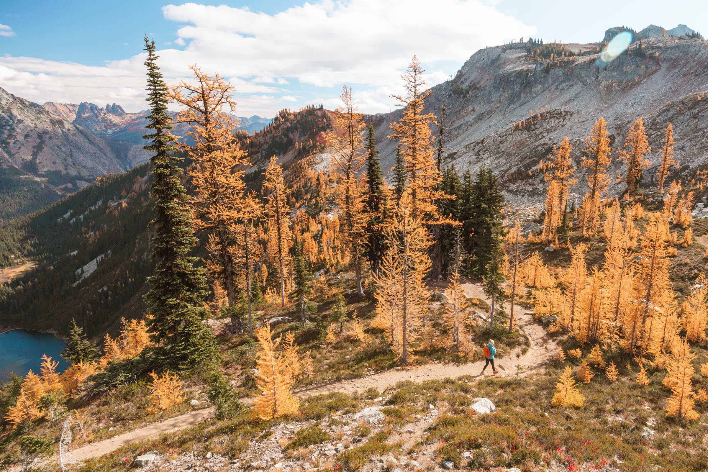 Maple Pass Loop in the North Cascades: Complete Hiking Guide 21 Maple Pass Loop trail larches