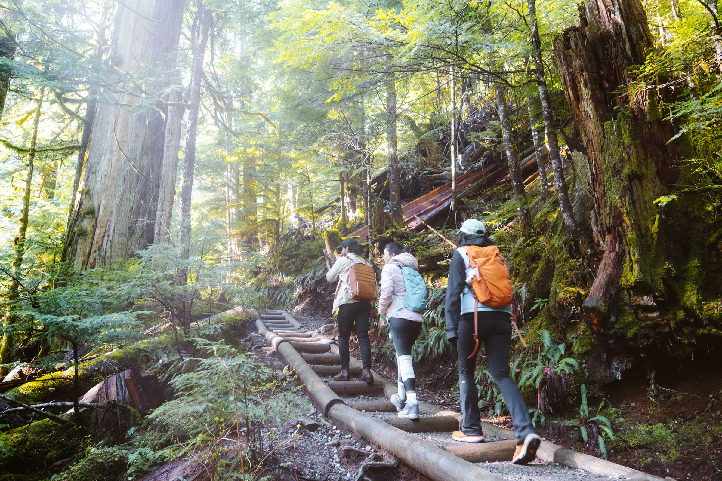 Lake 22 Trail in Washington: Complete Hiking Guide 5 Hiking Lake 22 Trail in Washington