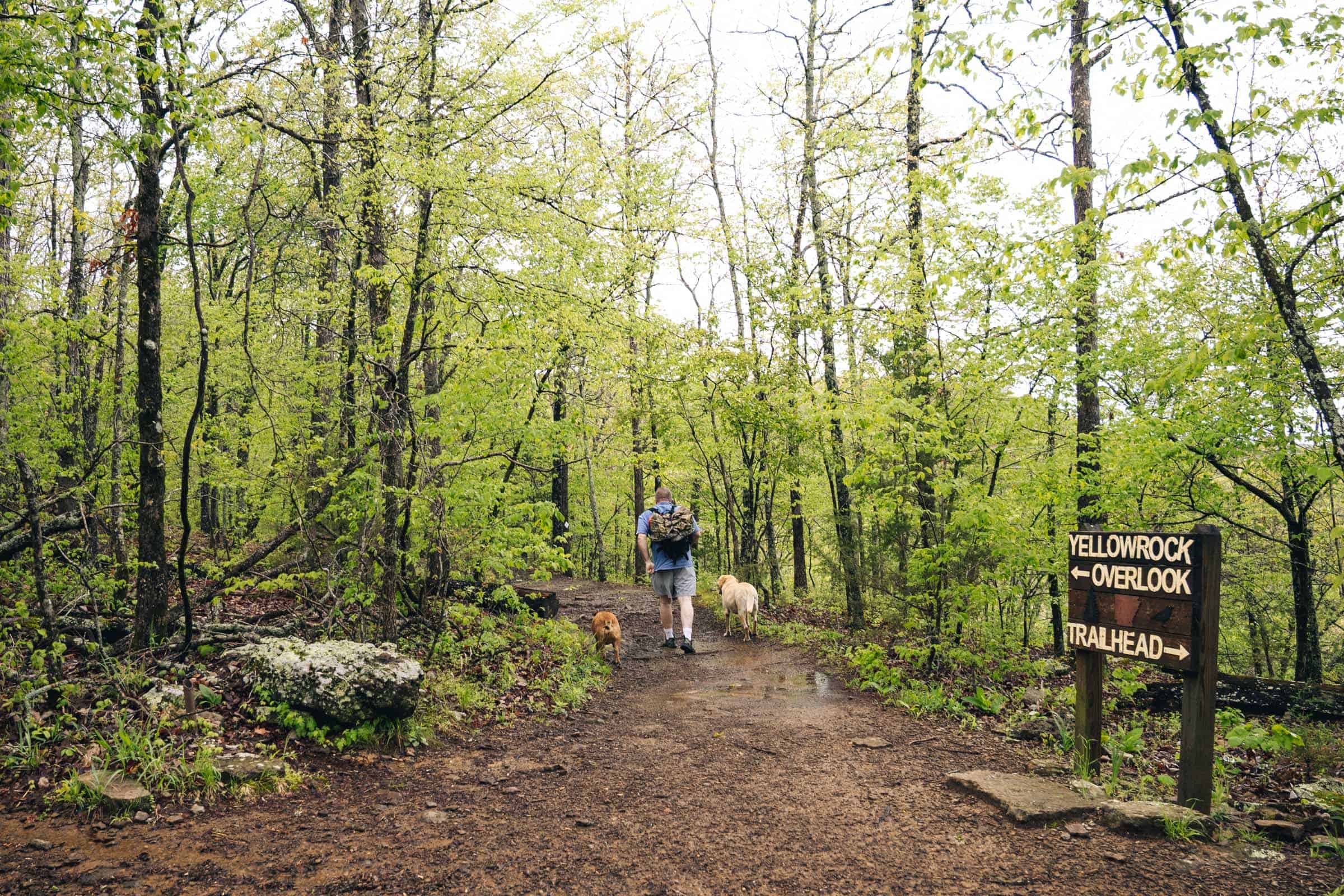 Hiking to the Yellow Rock Trail Overlook