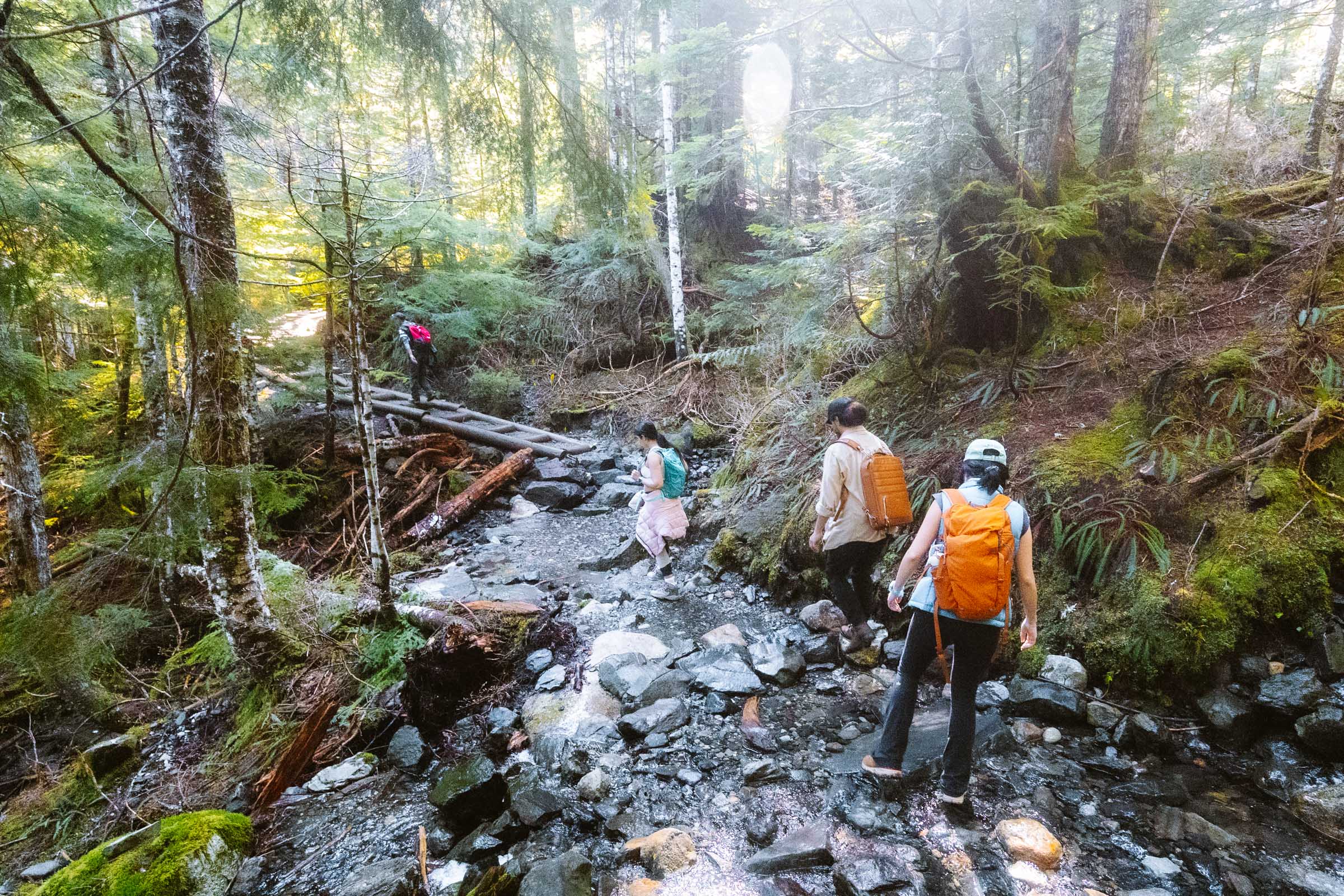 Lake 22 Trail in Washington: Complete Hiking Guide 9 Hiking through Lake 22 trail