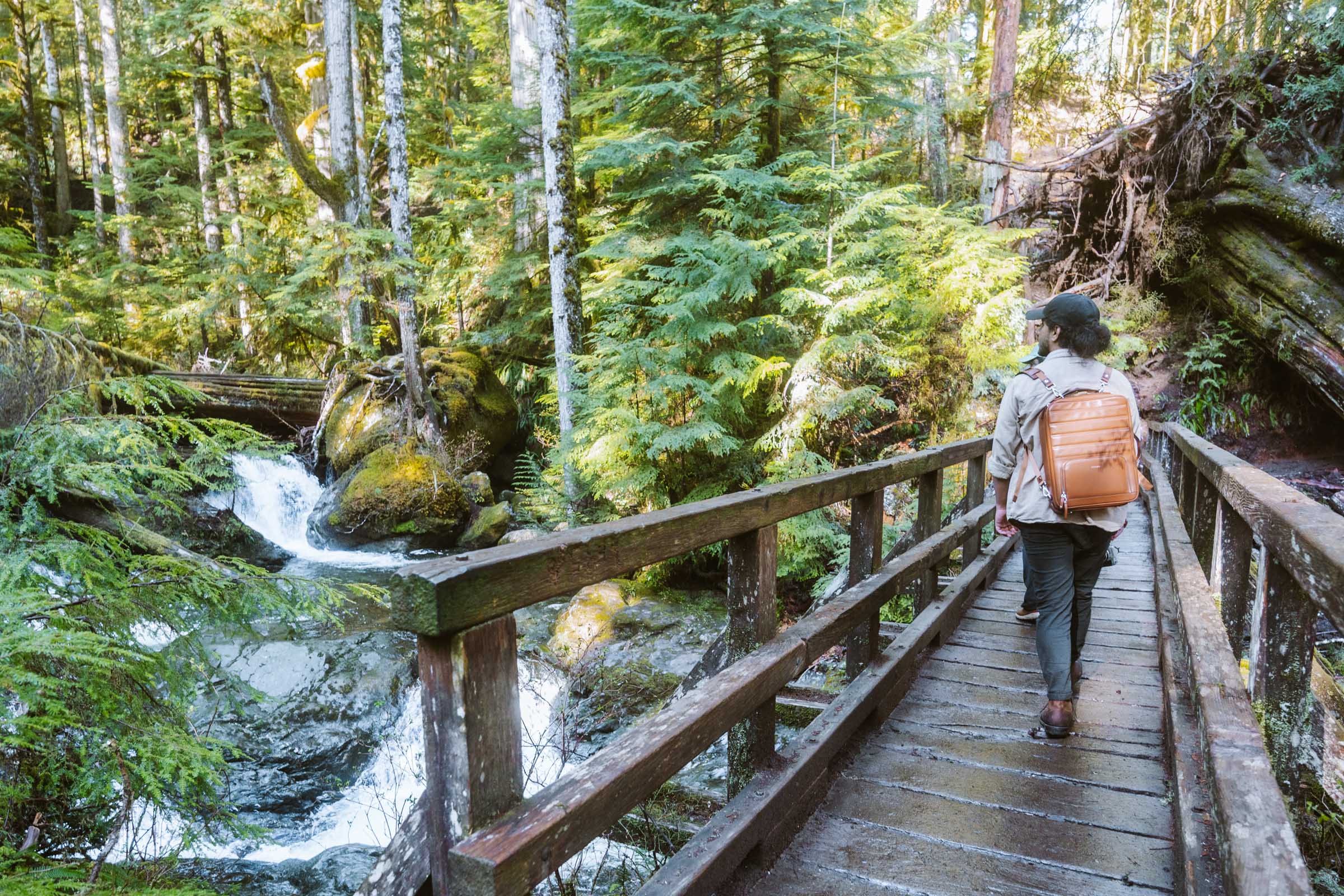 Lake 22 Trail in Washington: Complete Hiking Guide 4 Lake 22 creek bridge