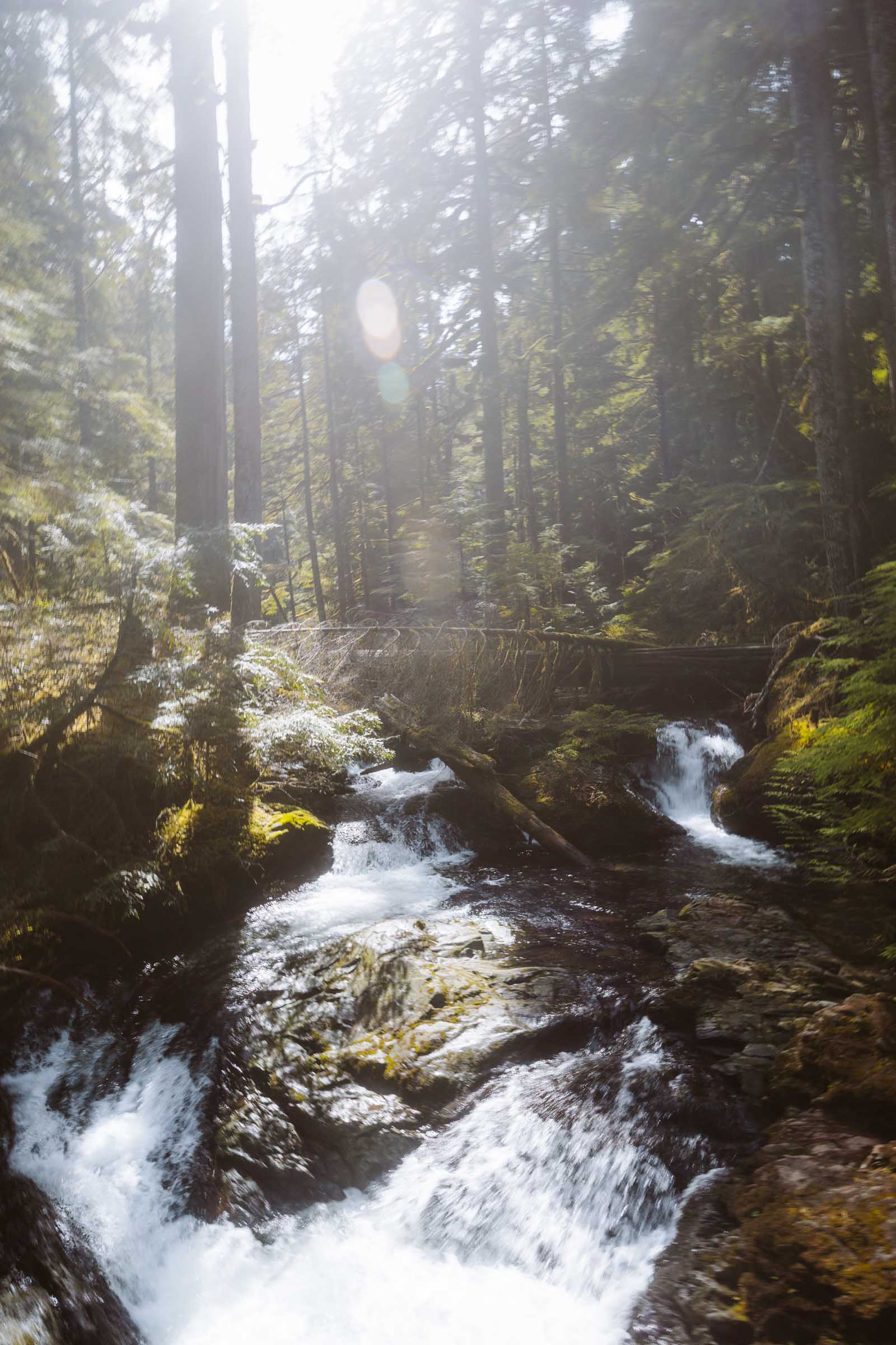 Lake 22 Trail in Washington: Complete Hiking Guide 27 Lake 22 creek