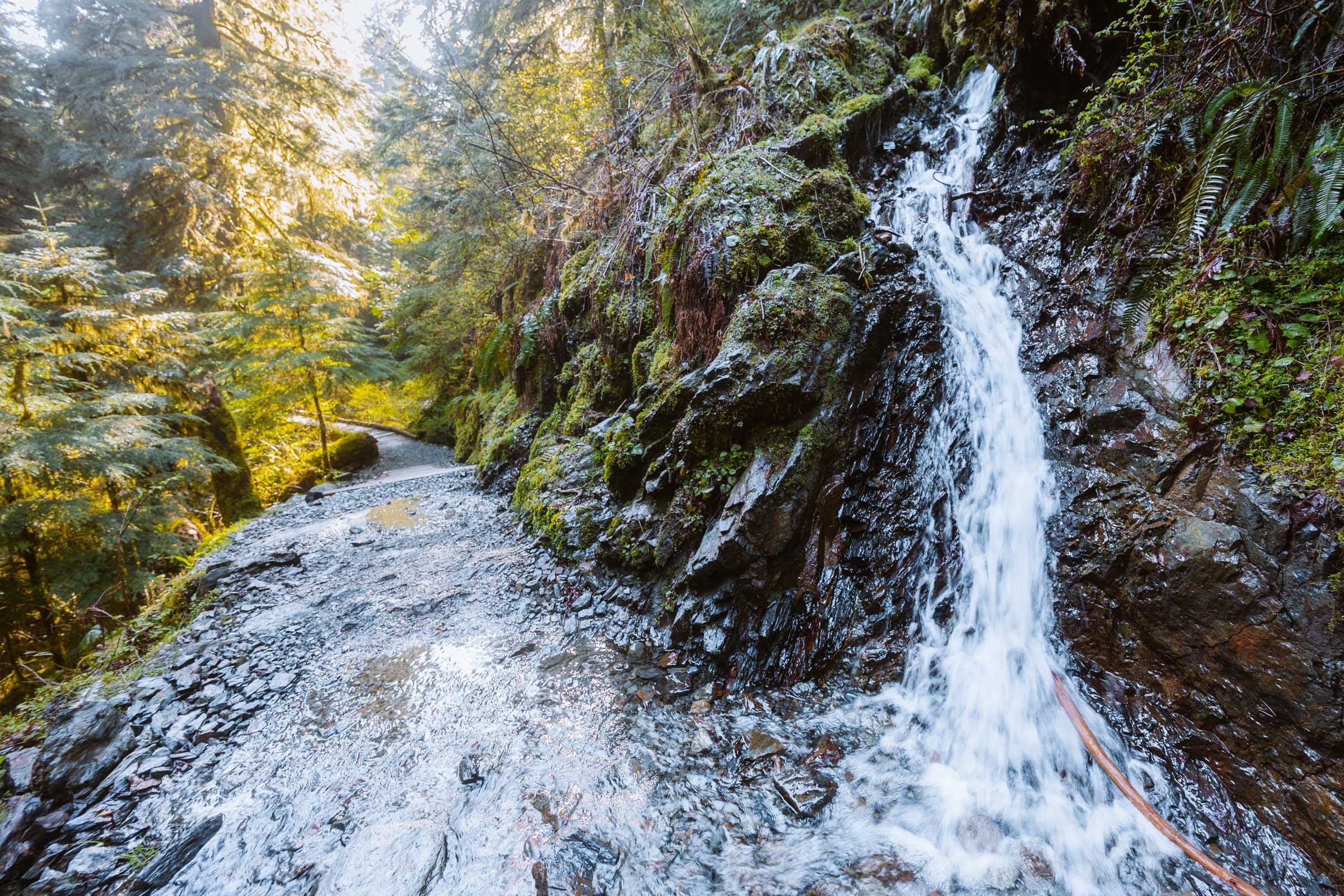 Lake 22 Trail in Washington: Complete Hiking Guide 13 Lake 22 stream on trail