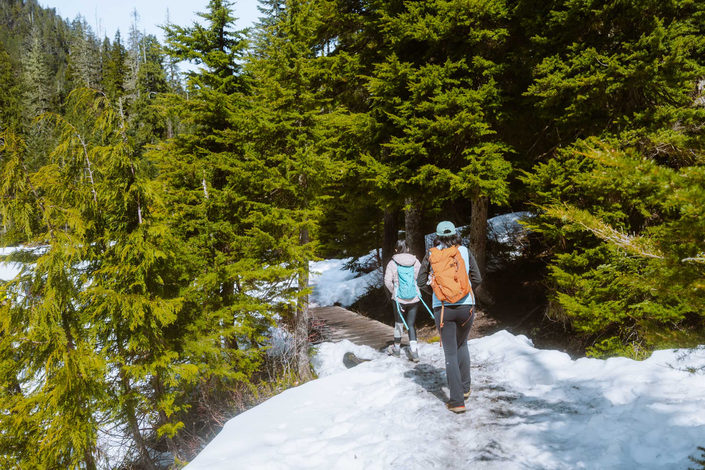 Lake 22 Trail in Washington: Complete Hiking Guide 31 Lake 22 trail around lake