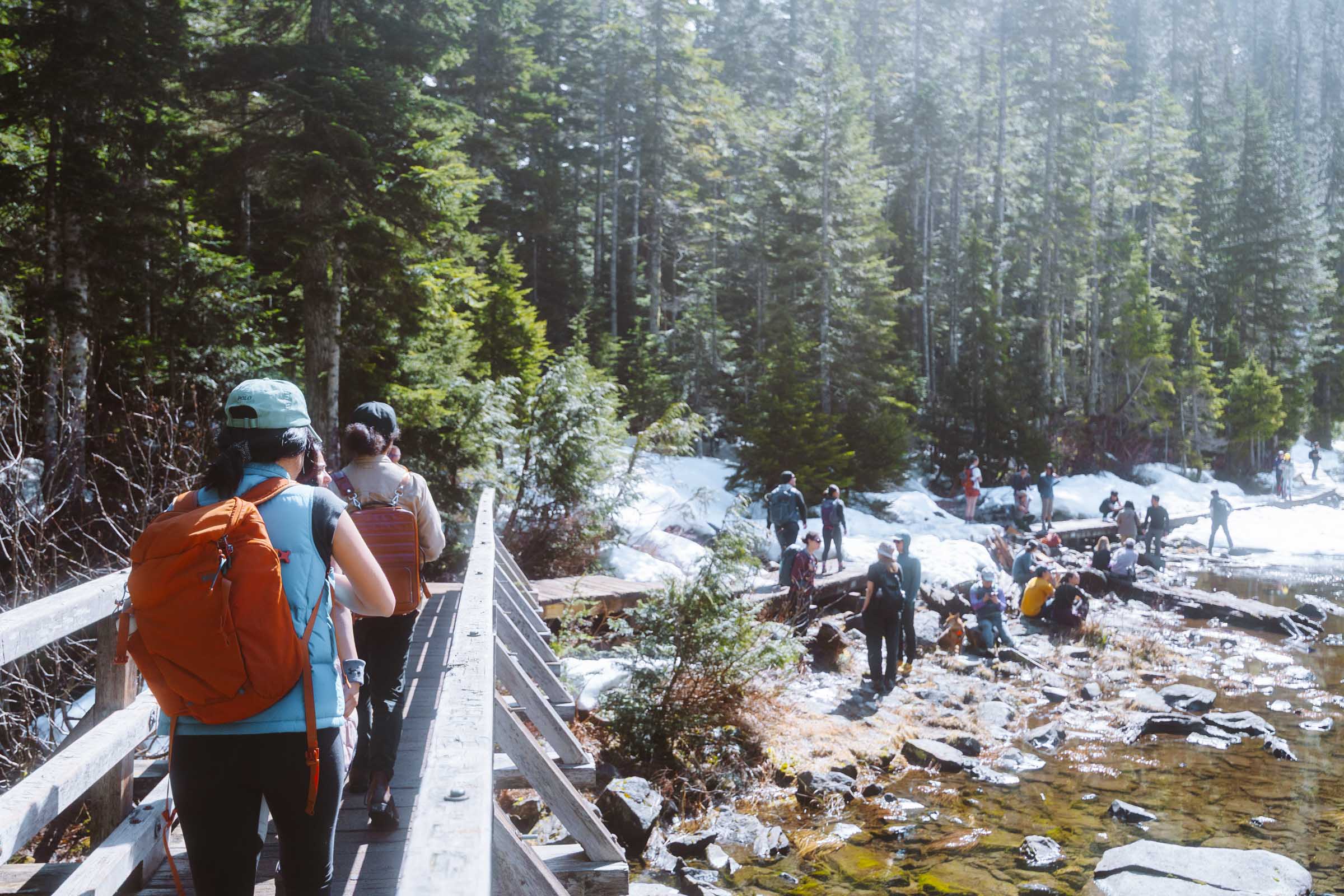 Lake 22 Trail in Washington: Complete Hiking Guide 21 Lake 22 trail bridge