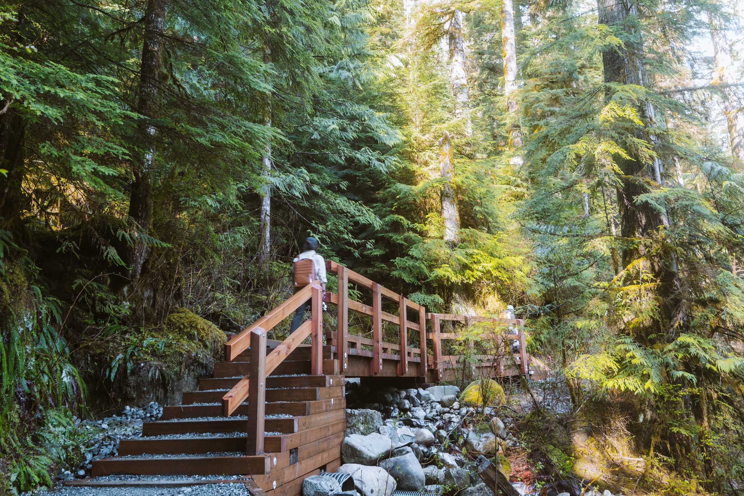 Lake 22 Trail in Washington: Complete Hiking Guide 12 Bridge on Lake 22 Trail