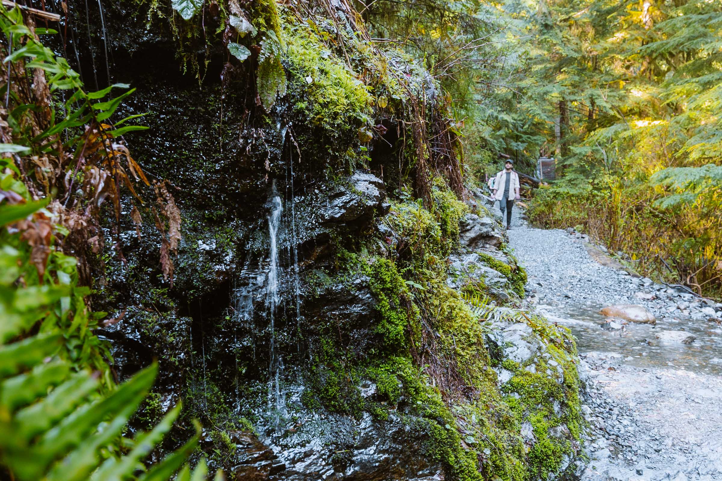 Lake 22 Trail in Washington: Complete Hiking Guide 26 Water on Lake 22 trail