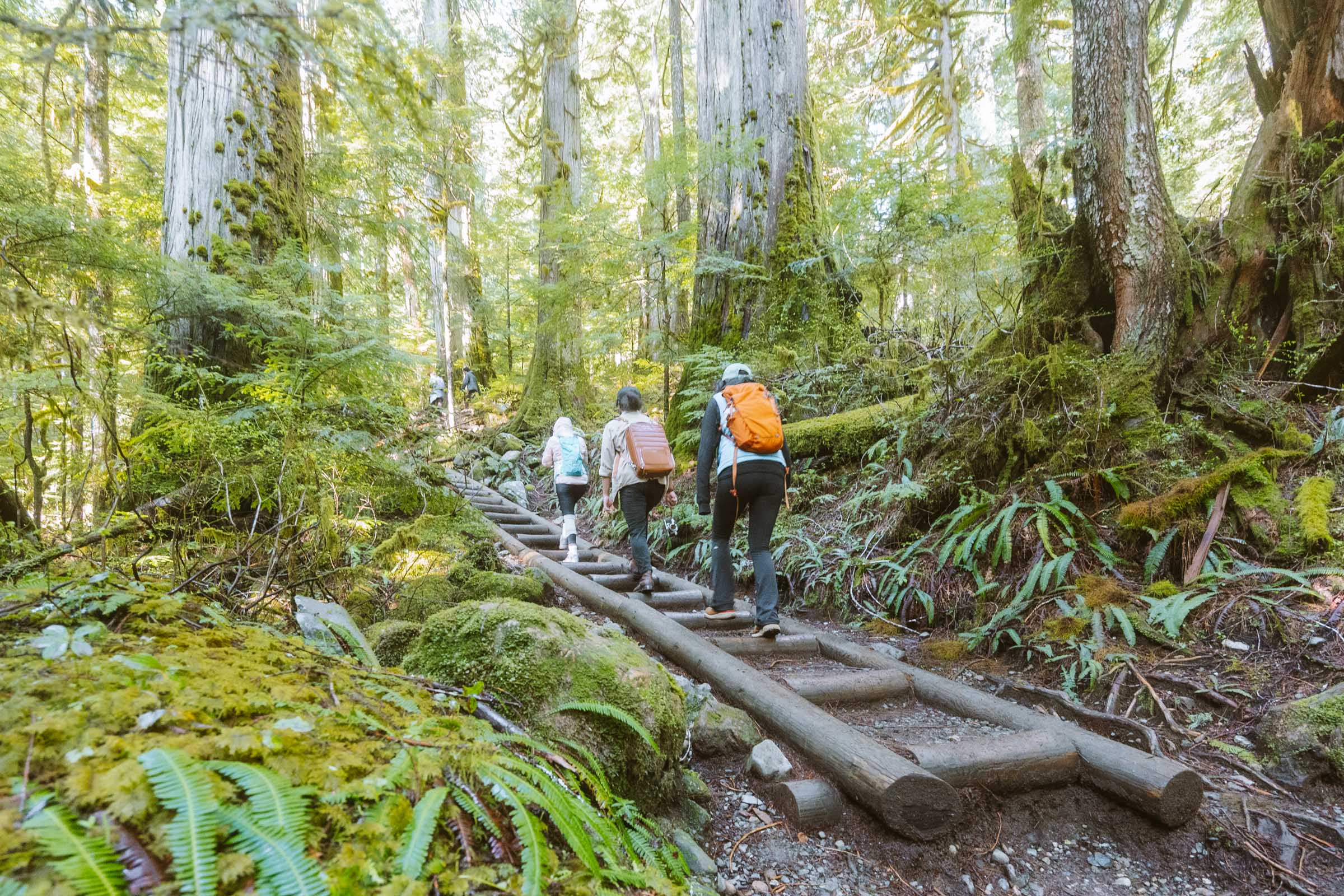 Lake 22 Trail in Washington: Complete Hiking Guide 16 Lake 22 wooden steps on trail