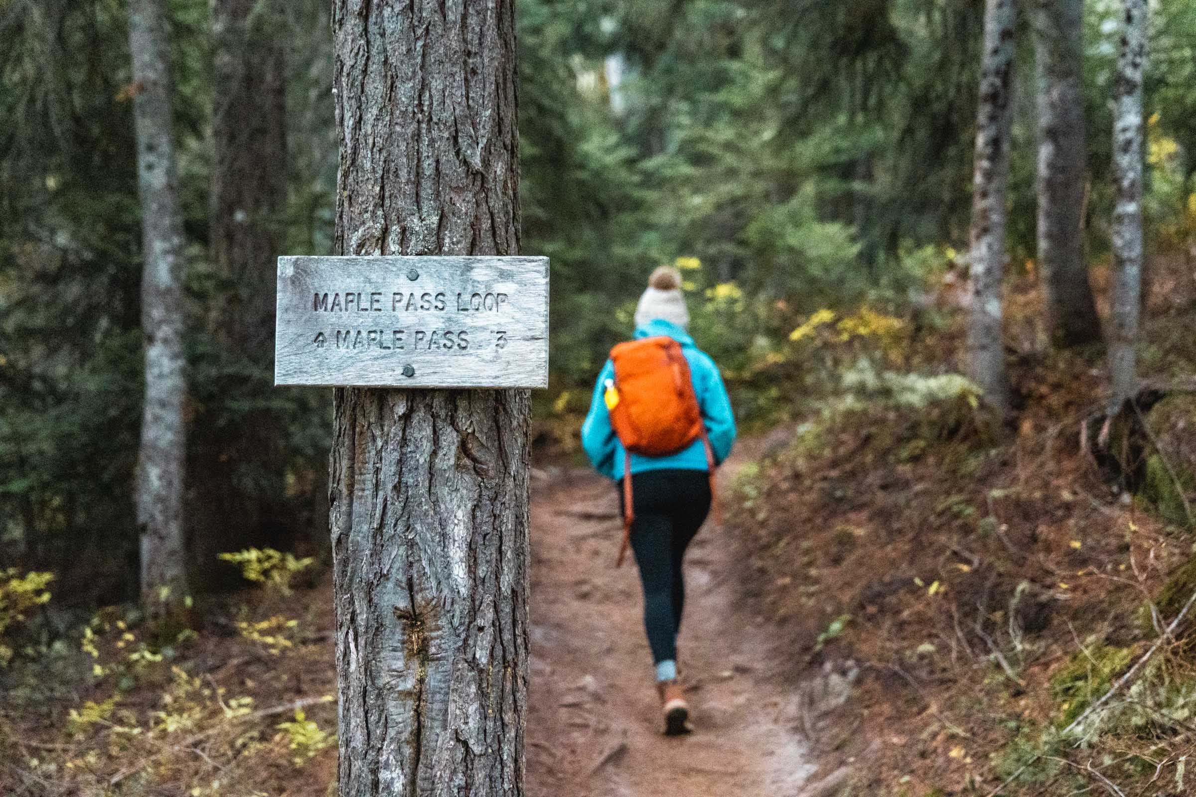 Maple Pass Loop in the North Cascades: Complete Hiking Guide 11 Maple Pass Trail sign