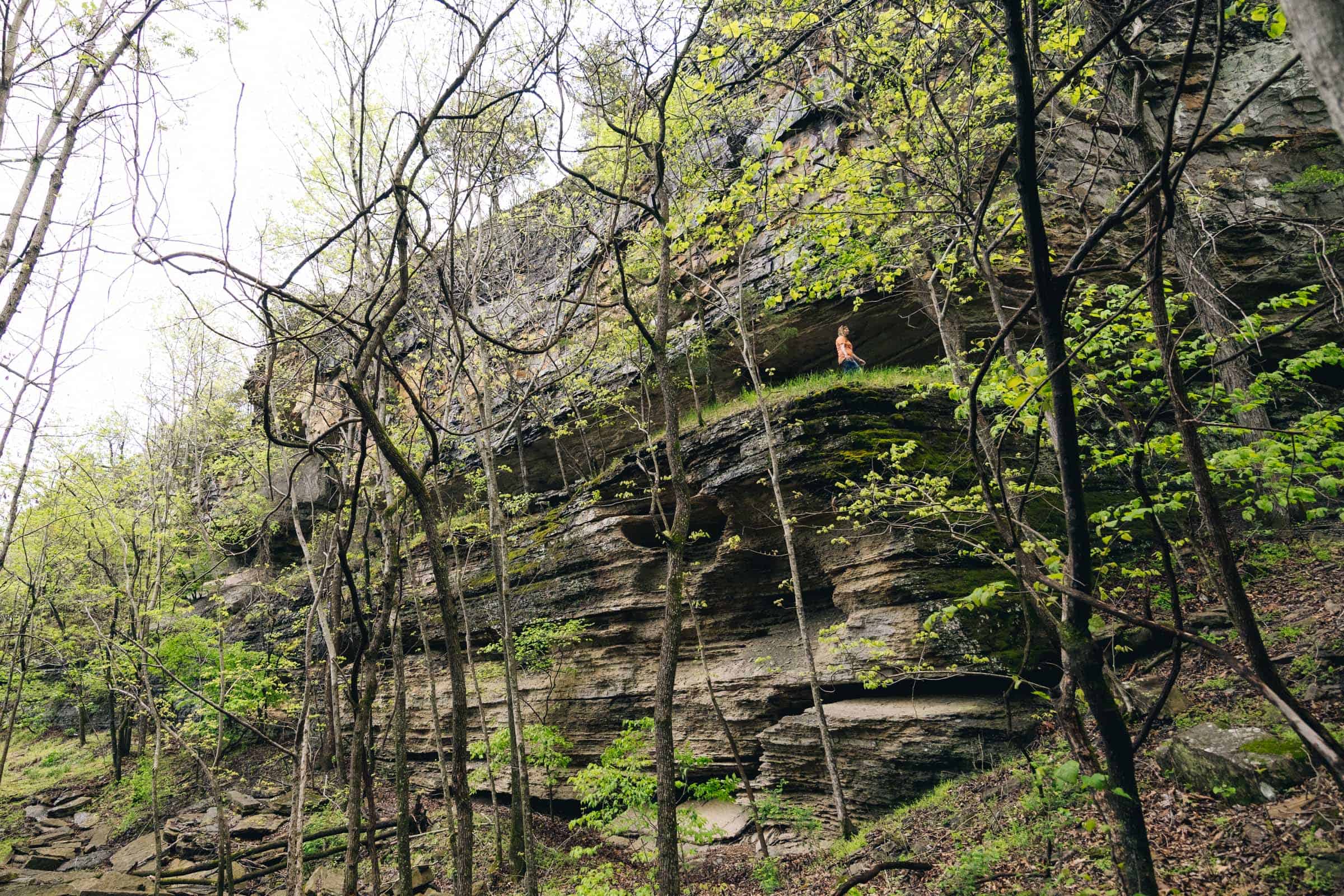 Massive Bluff on Yellow Rock Trail Arkansas