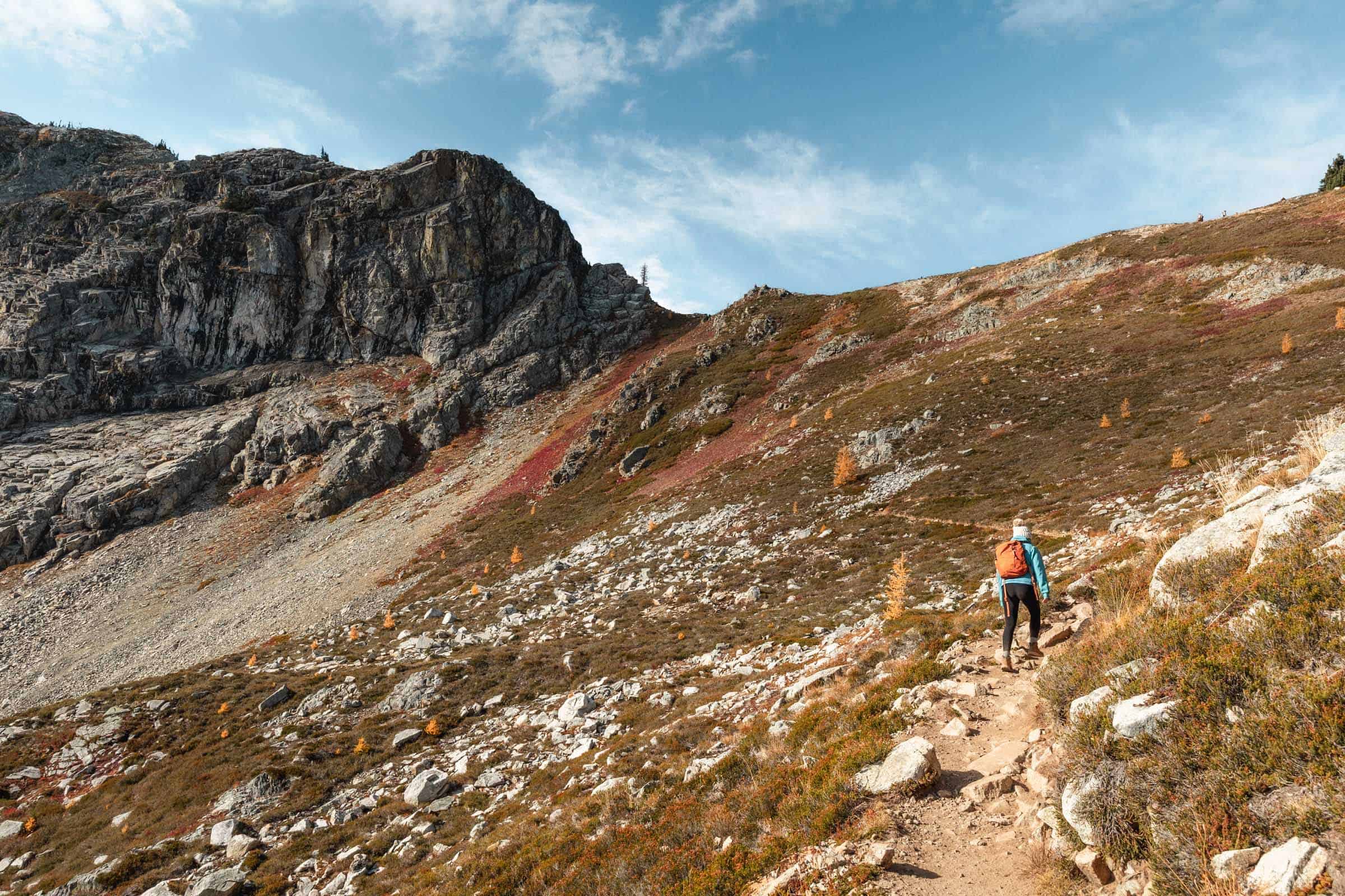 Maple Pass Loop in the North Cascades: Complete Hiking Guide 32 Mountain Meadows at Maple Pass Loop