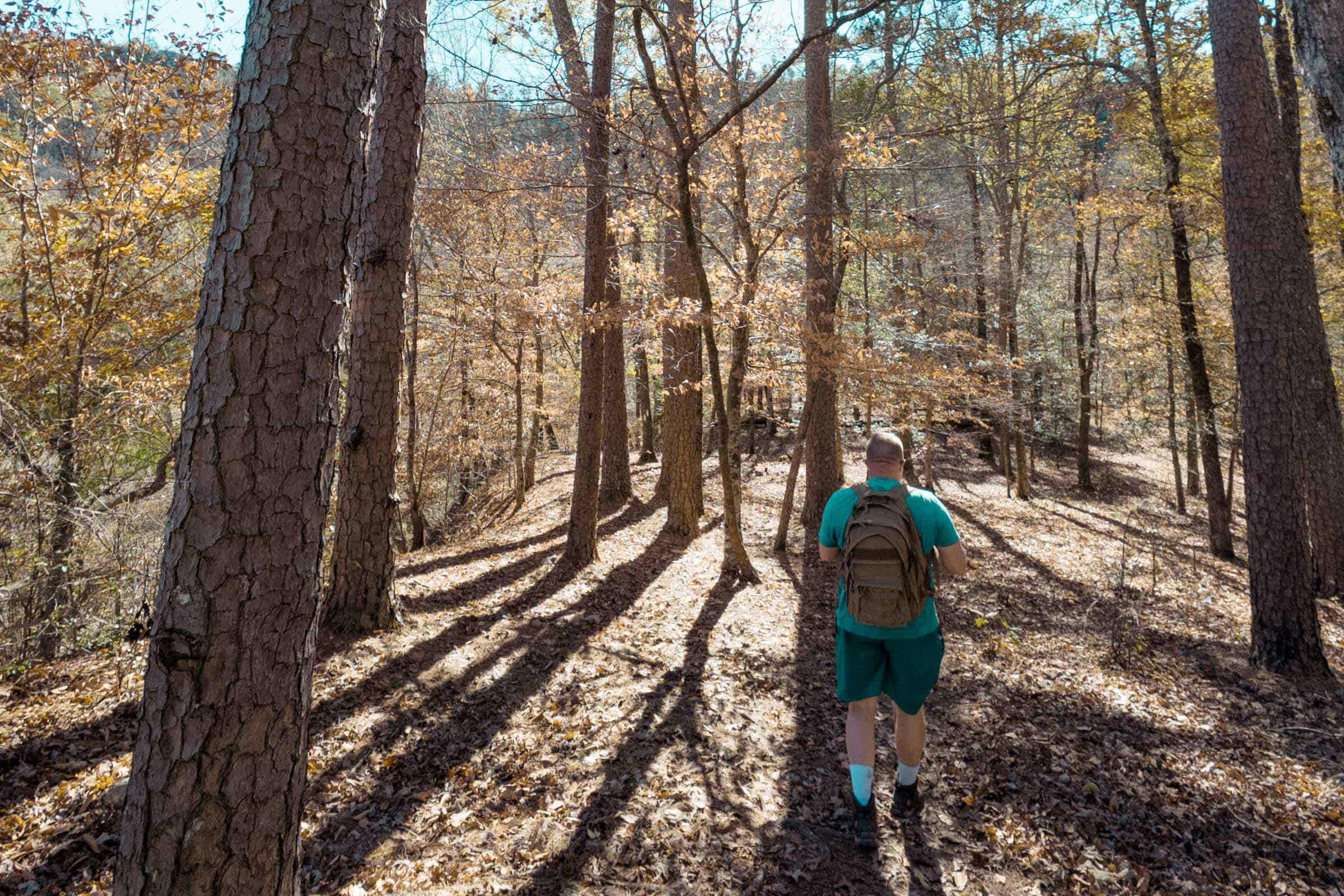 Woods on Little Missouri Trail Arkansas
