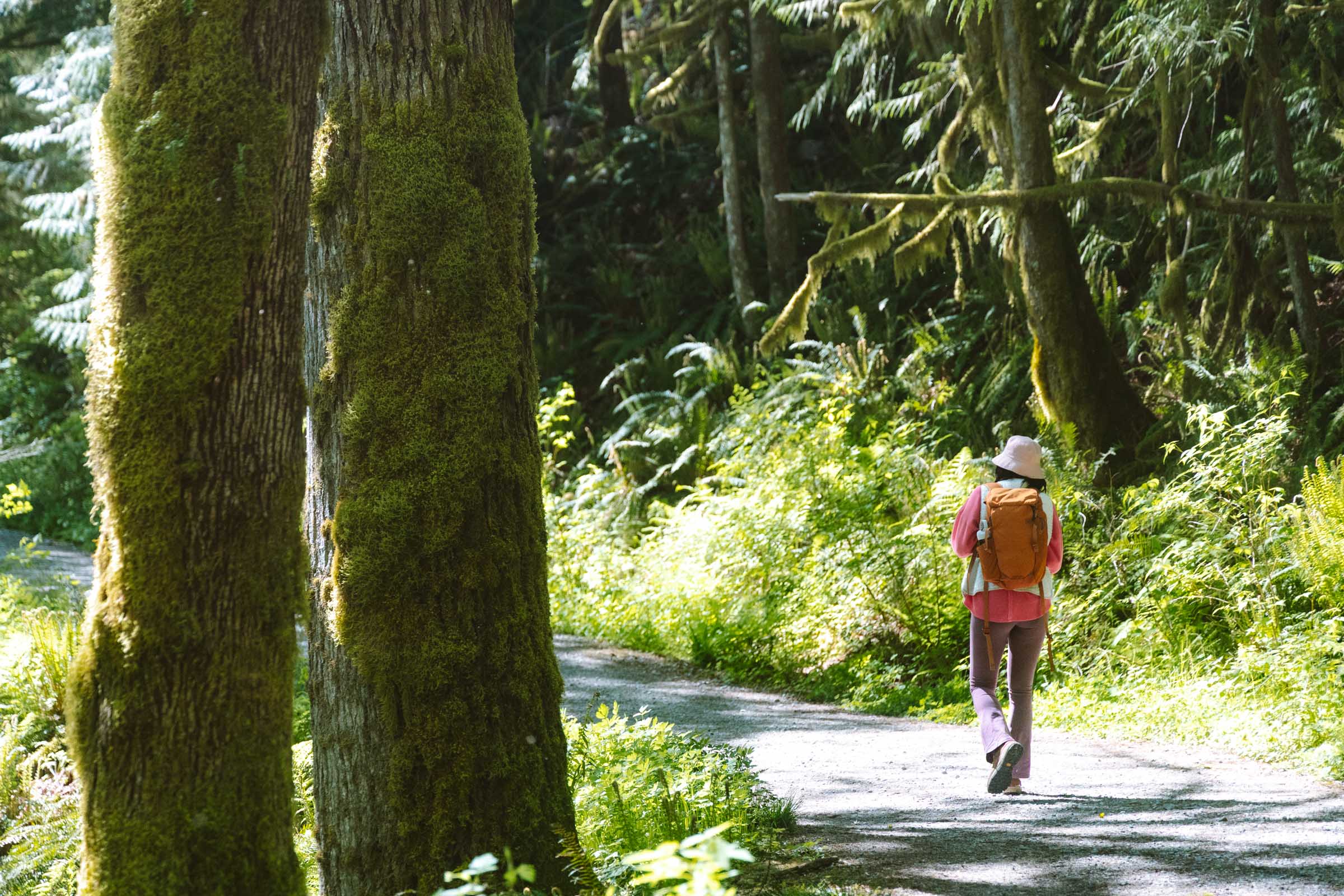 Old road to Bridal Veil Falls trail