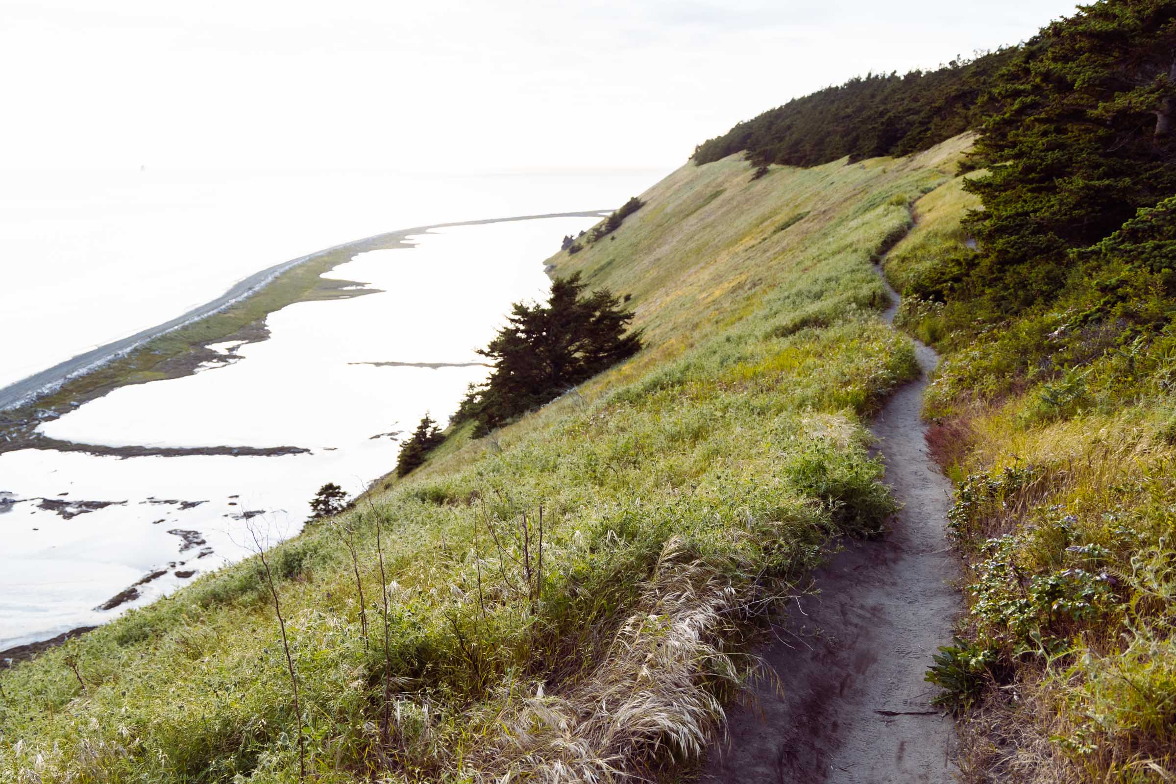 Perego Lake from Ebey's Landing bluff trail