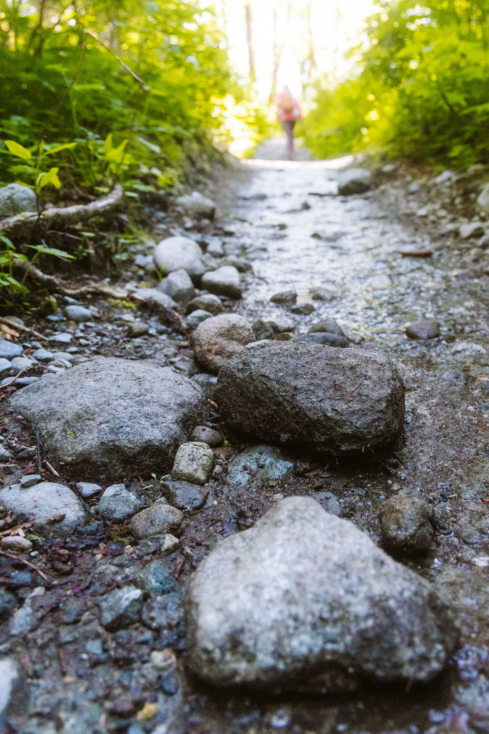 Rocks on Bridal Veil Falls trail