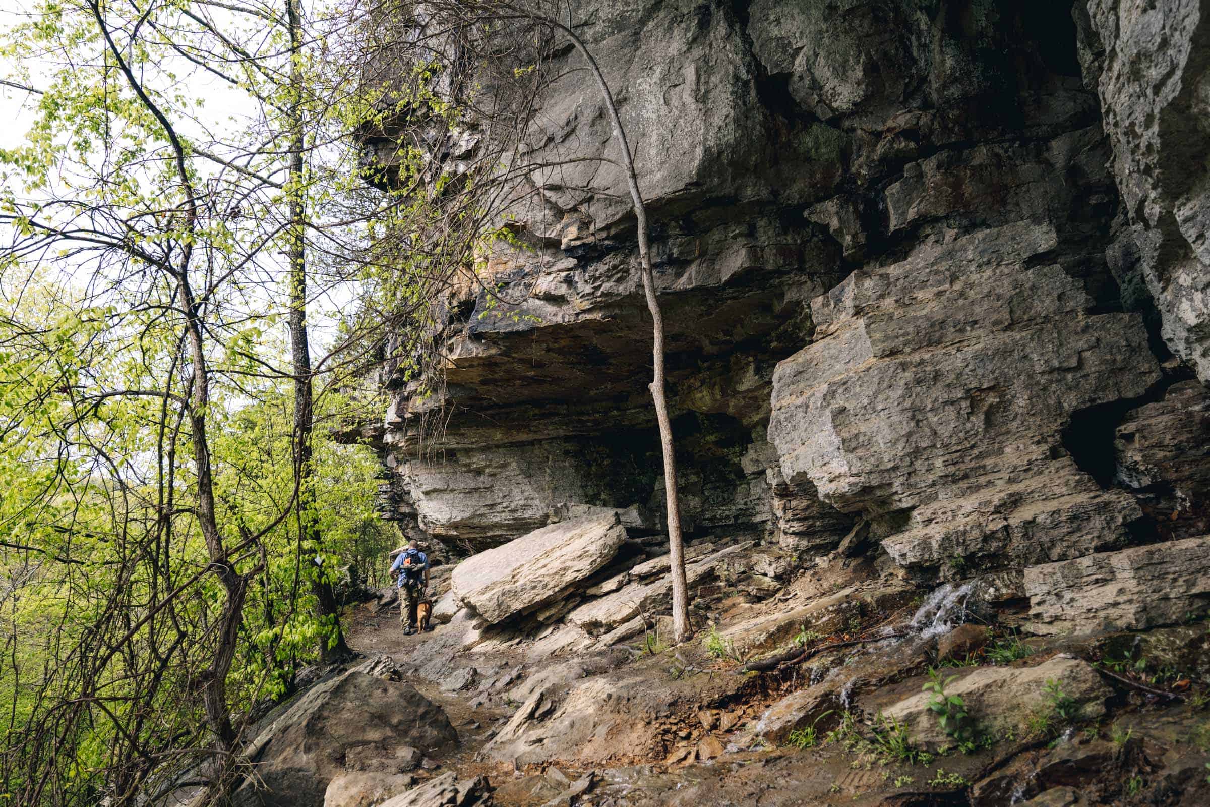 Rocky bluff at Yellow Rock Trail Arkansas