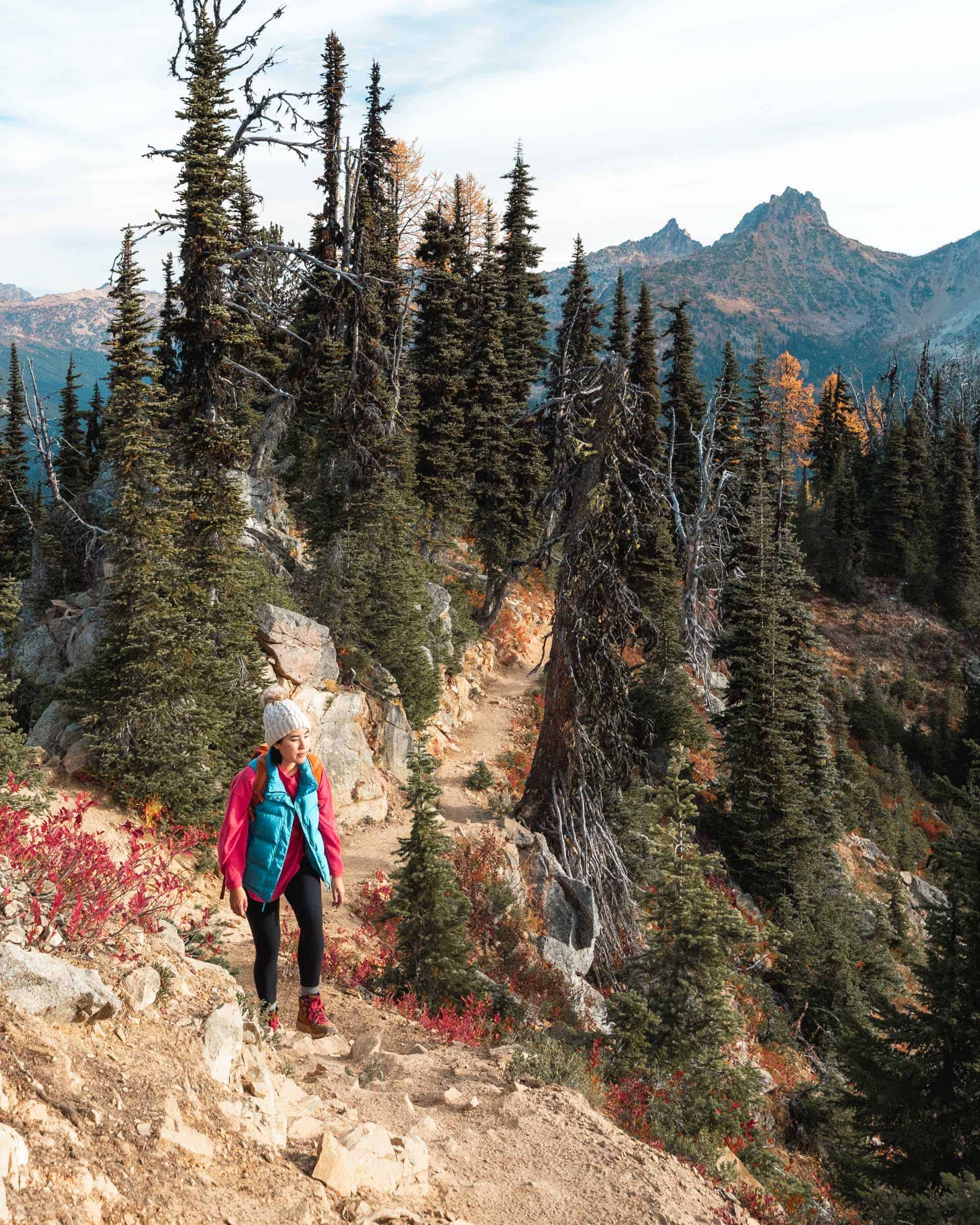 Maple Pass Loop in the North Cascades: Complete Hiking Guide 4 Rocky trail at Maple Pass Loop