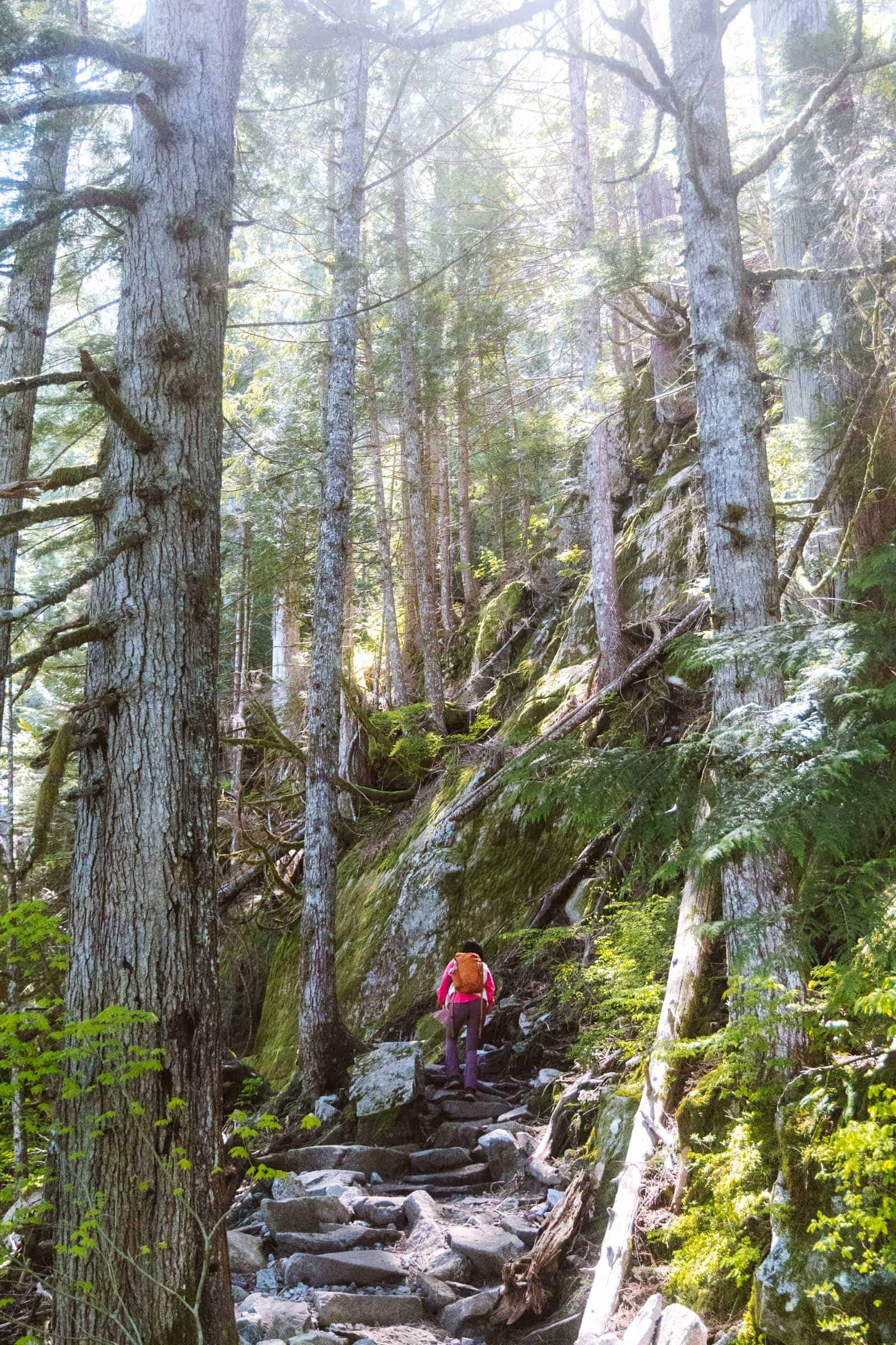 Rocky trail to Bridal Veil Falls