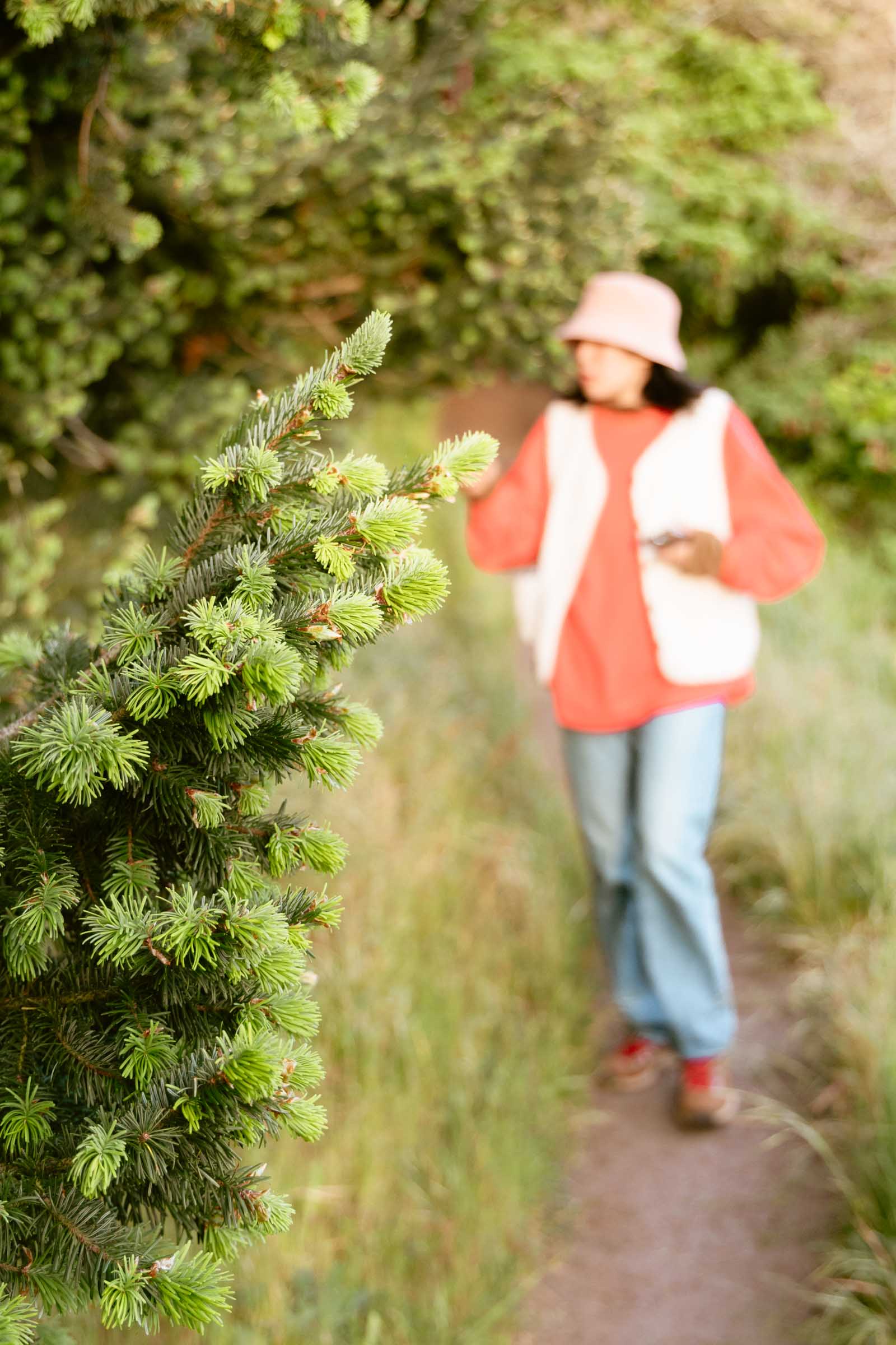 Chloe hiking on Ebey's Landing spruce trees