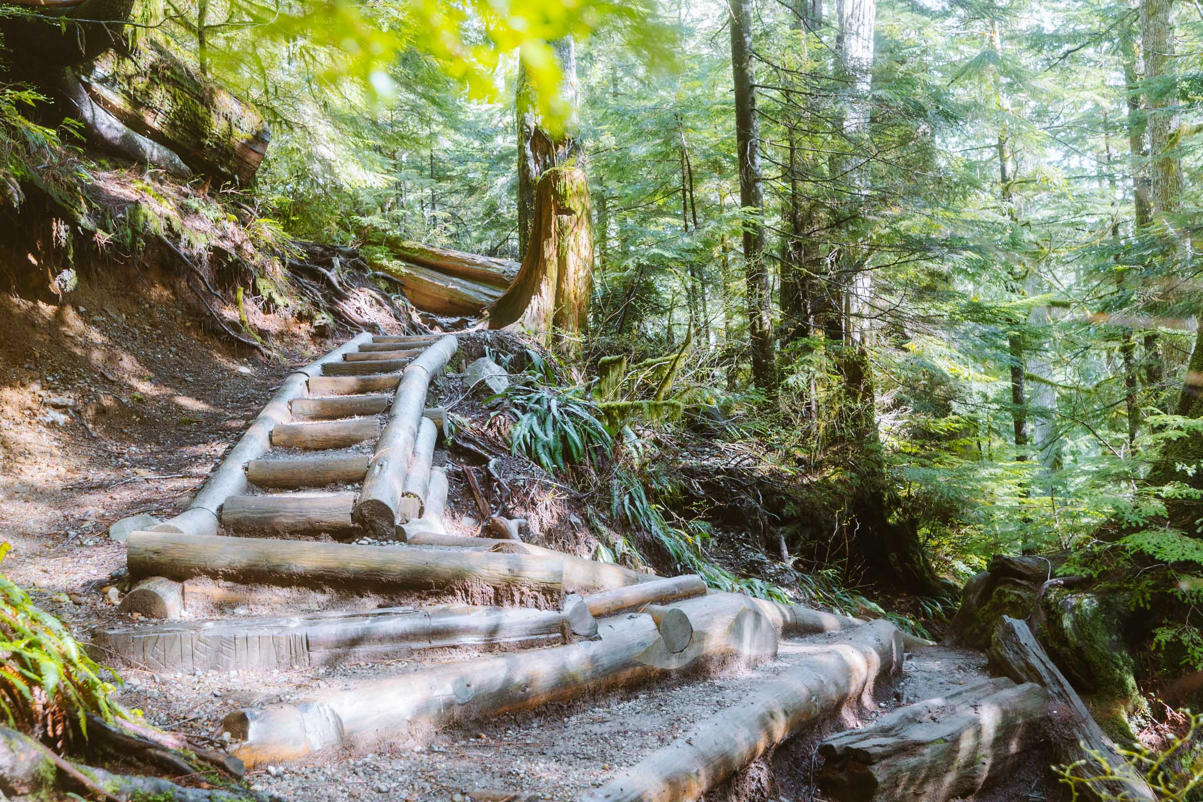 Lake 22 Trail in Washington: Complete Hiking Guide 25 Steps and switchbacks on Lake 22 Trail