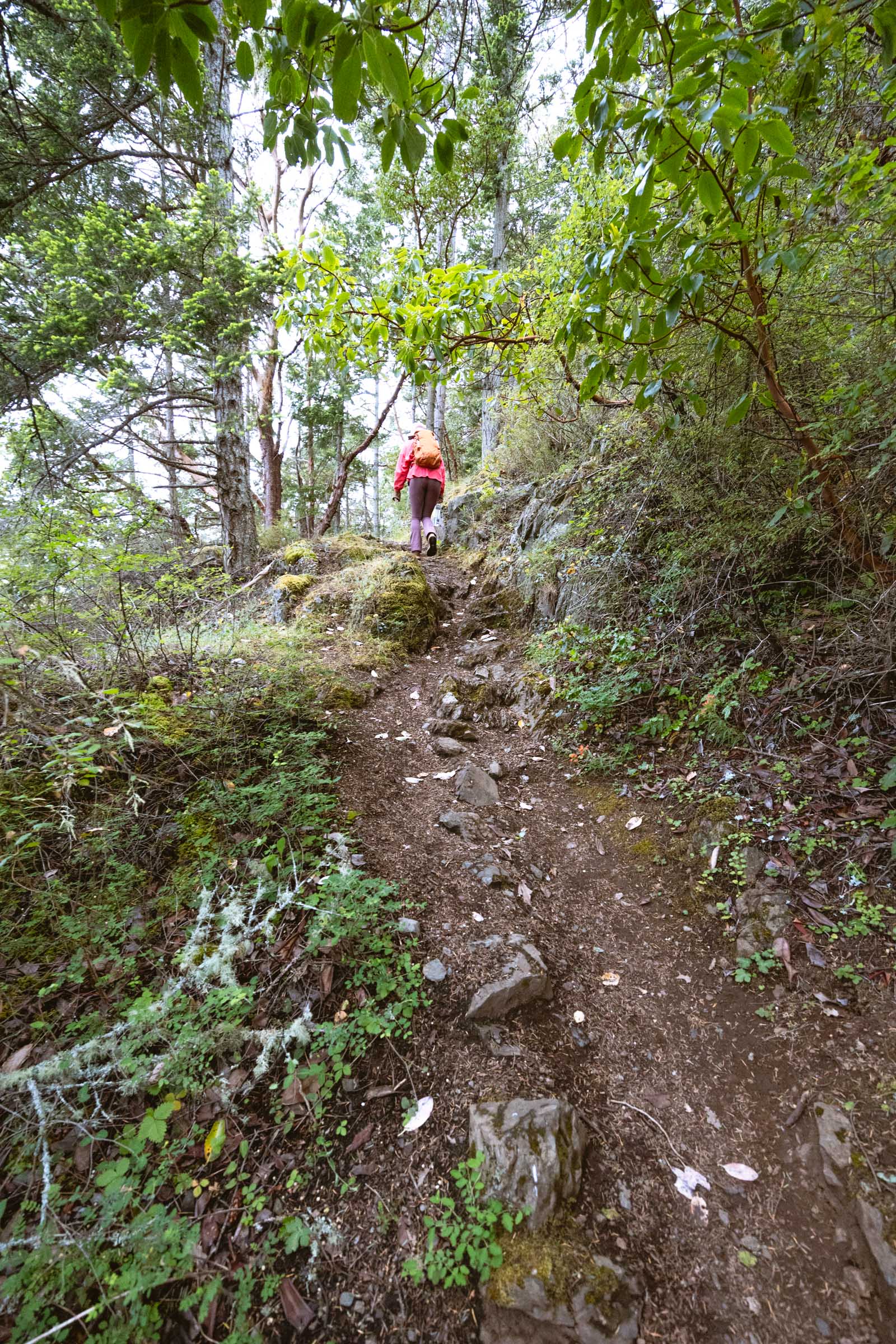 Switchback trail to Goose Rock Summit