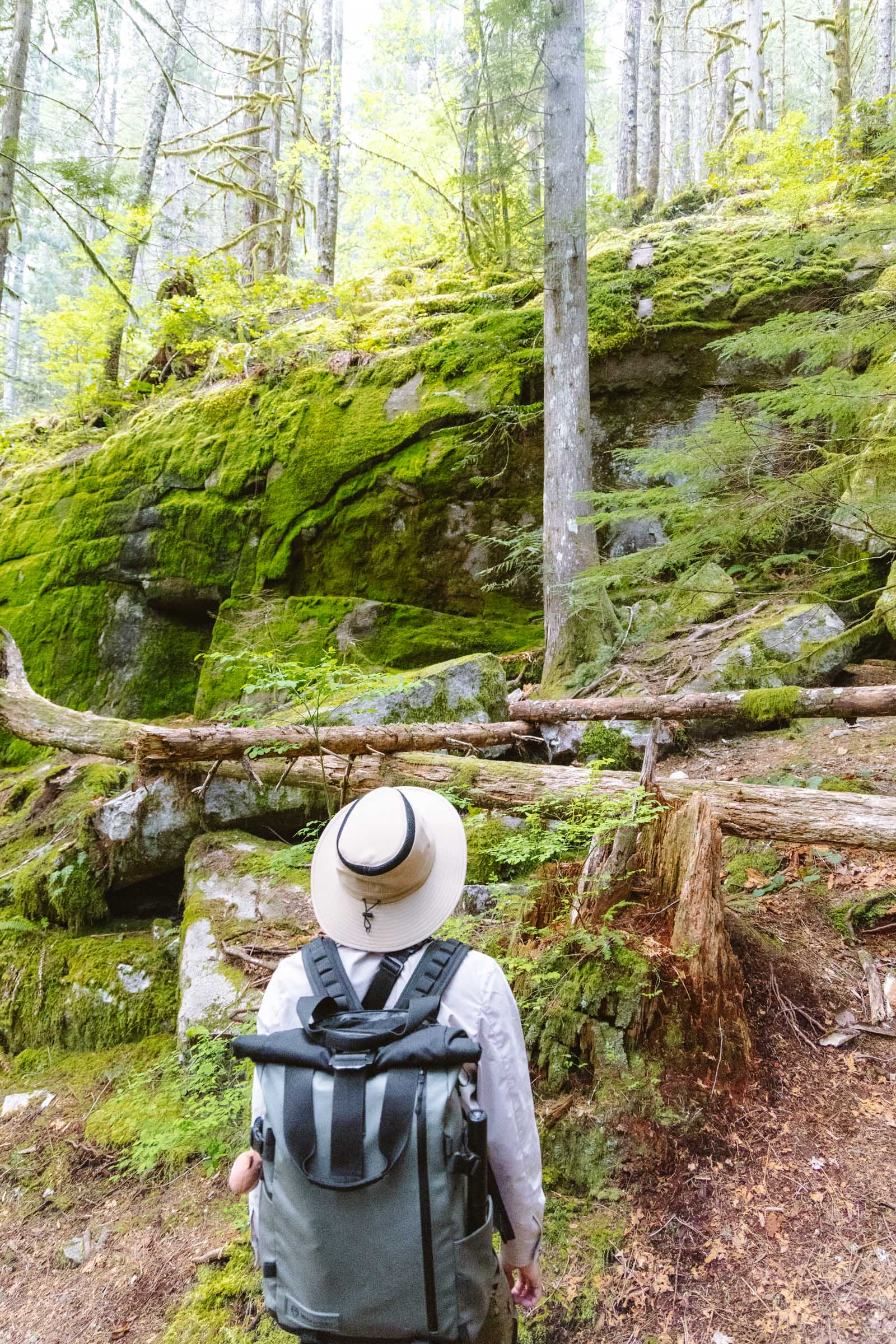 Trey looking at rocks on Heybrook Lookout trail