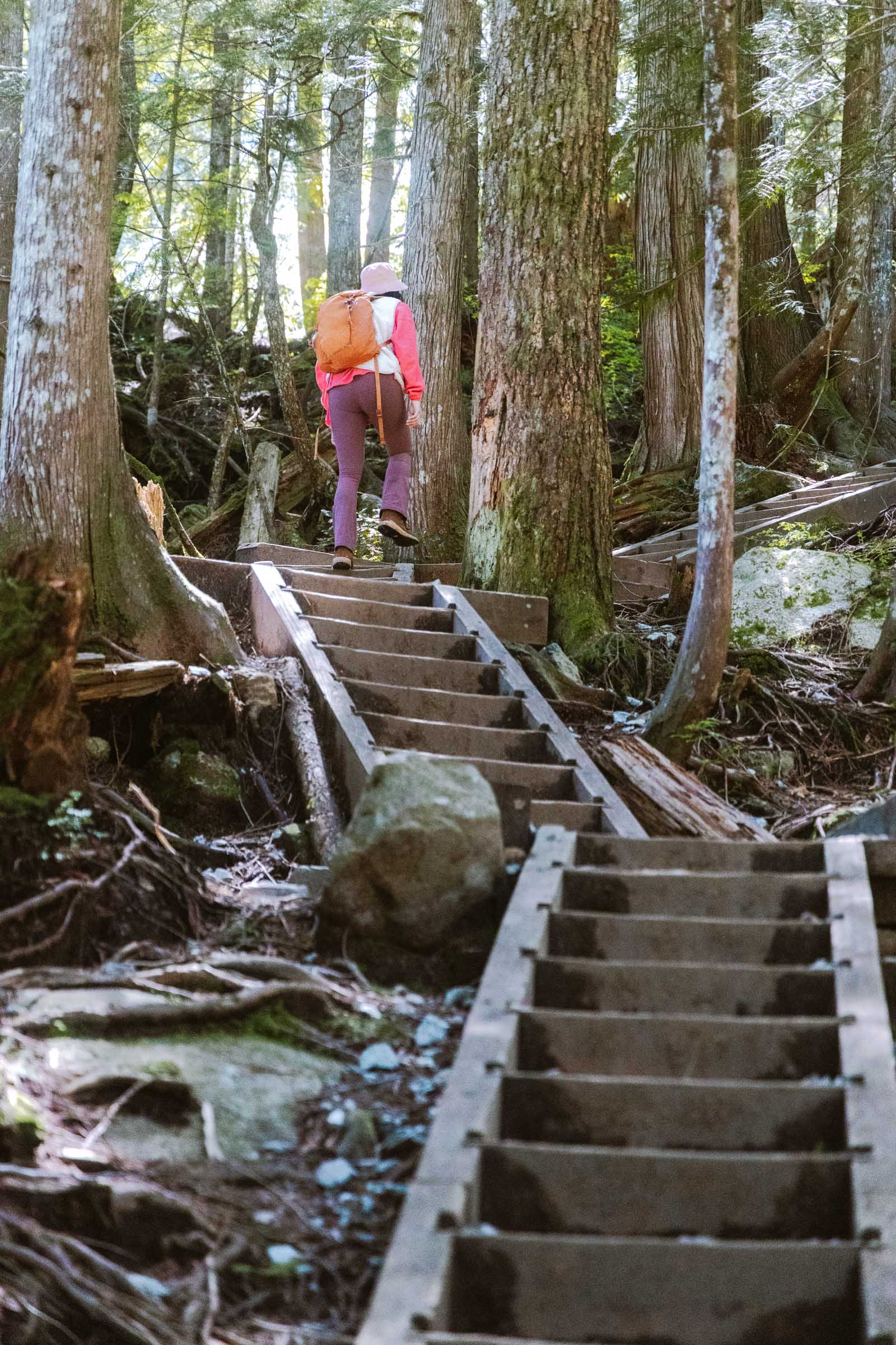 Wooden steps on Bridal Veil Falls trail Washington