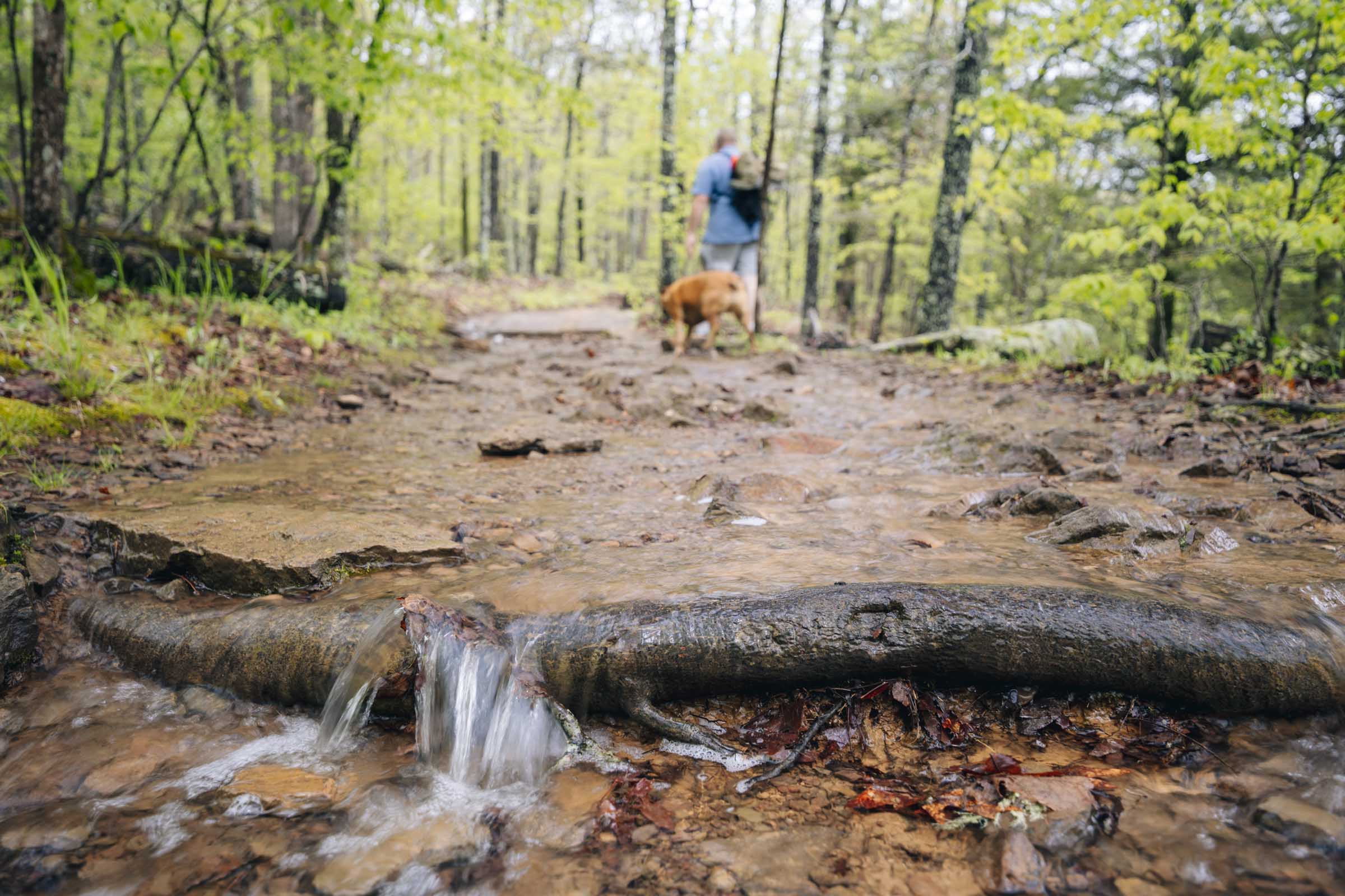 Yellow Rock Trail after rain
