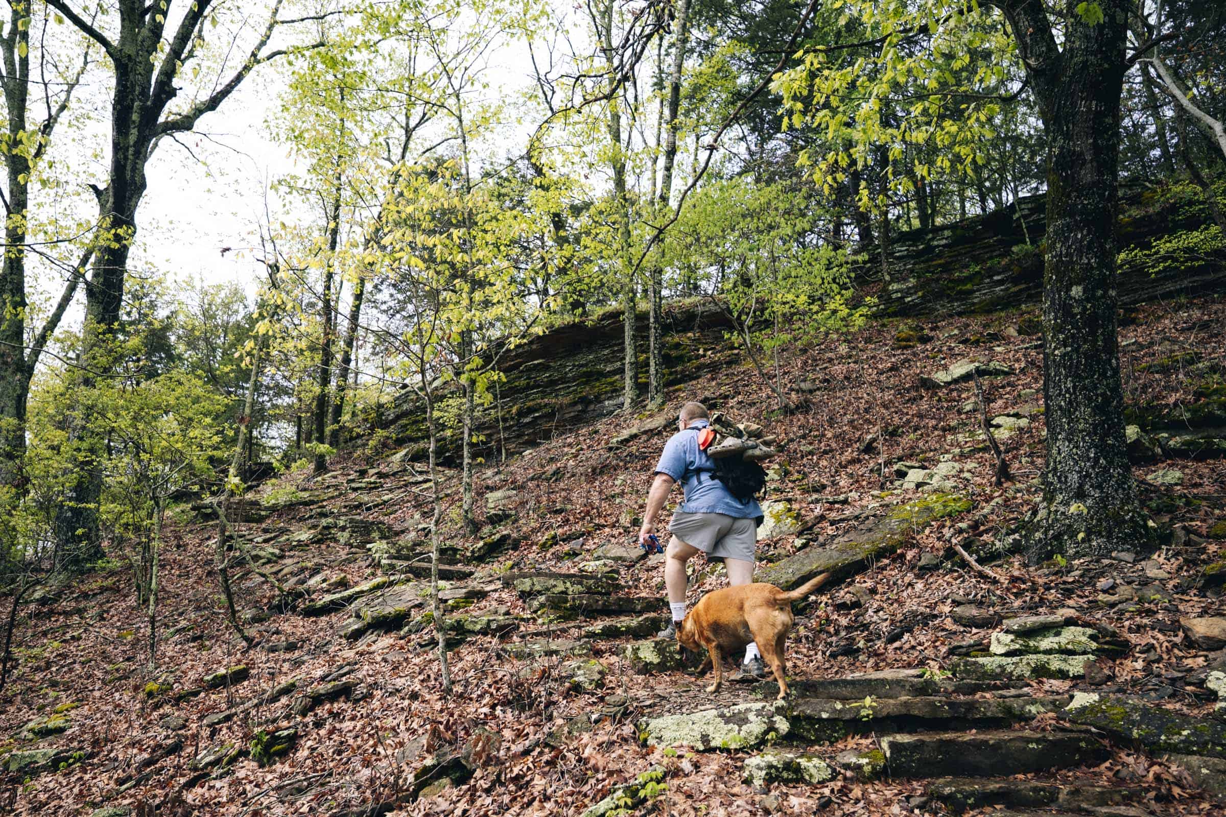 Conditions on Yellow Rock Trail Arkansas