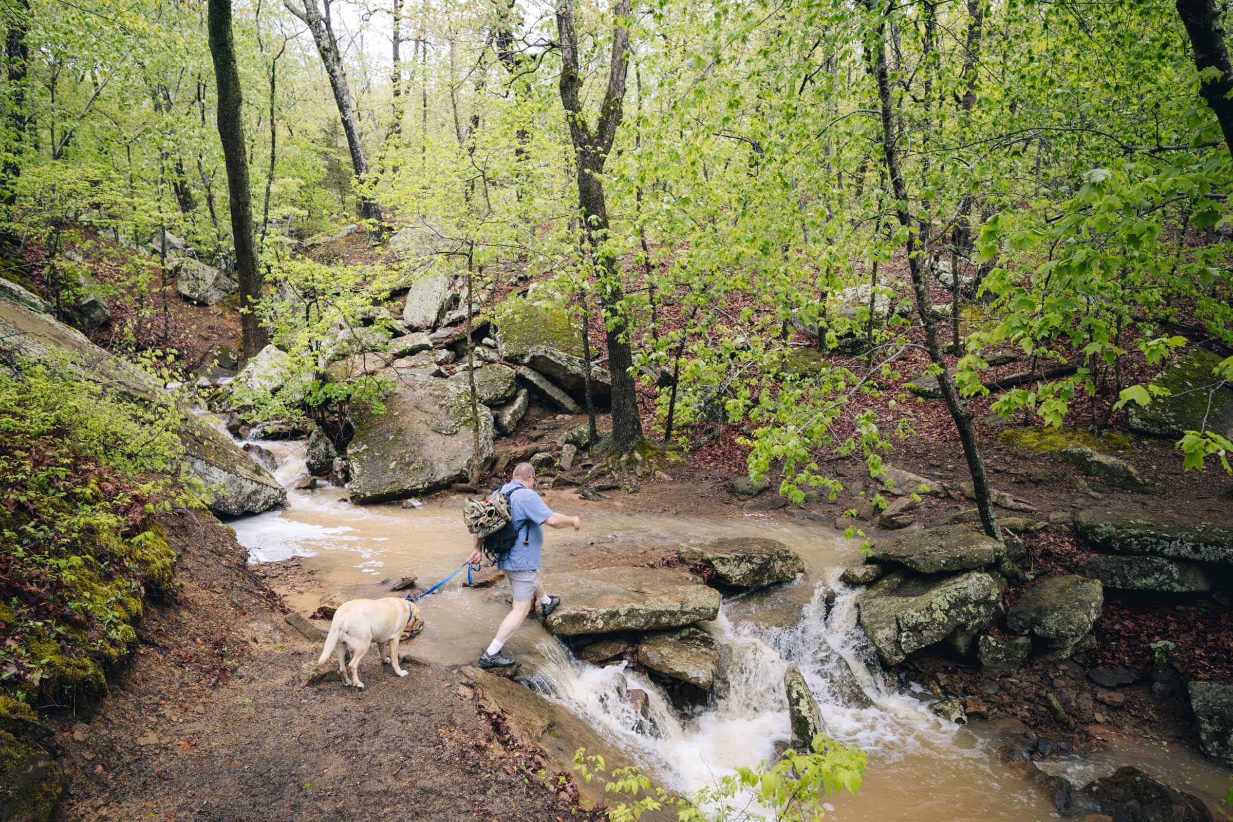 Yellow Rock Trail creek crossing