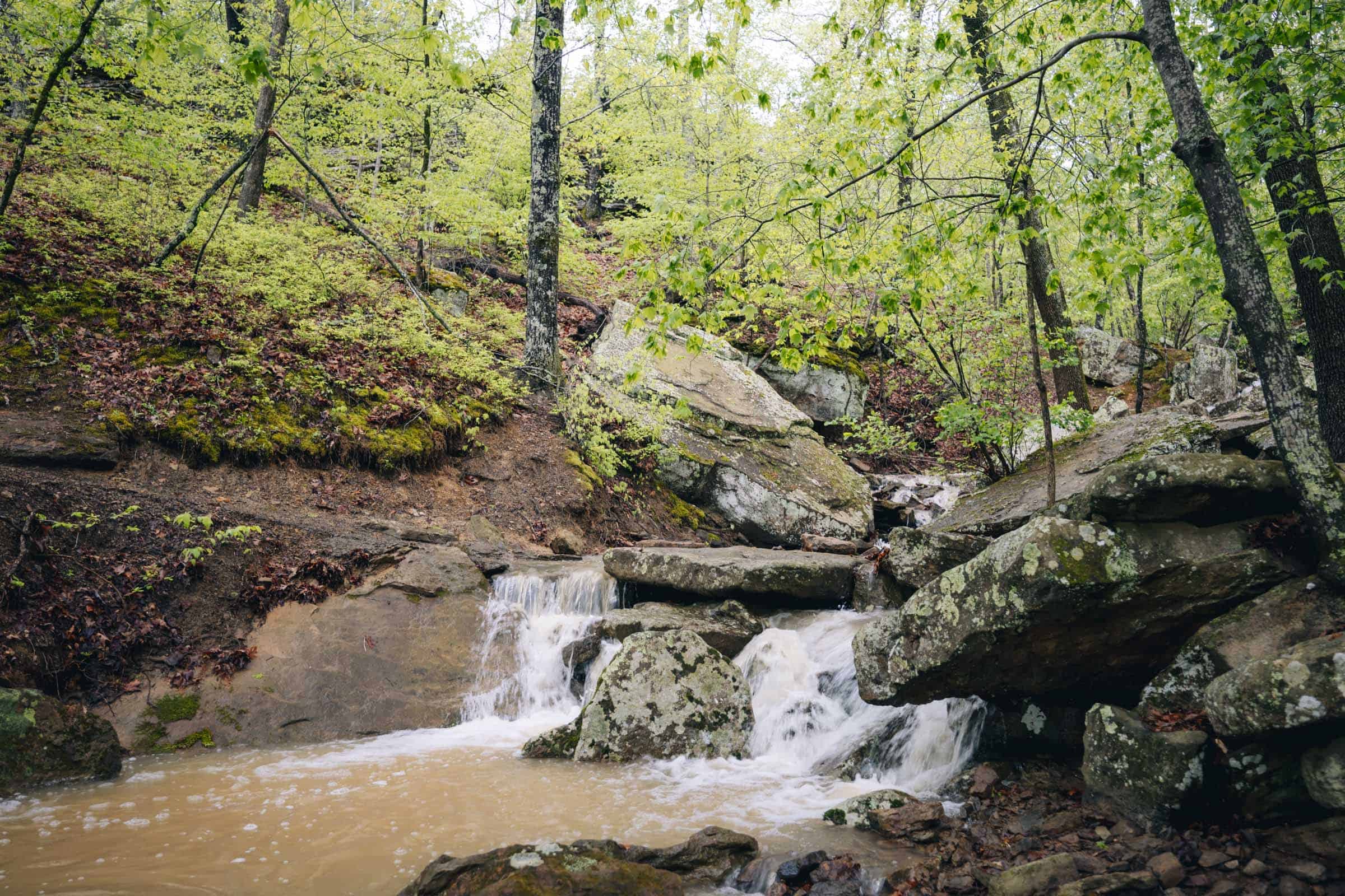 Yellow Rock Trail creek high water after rain