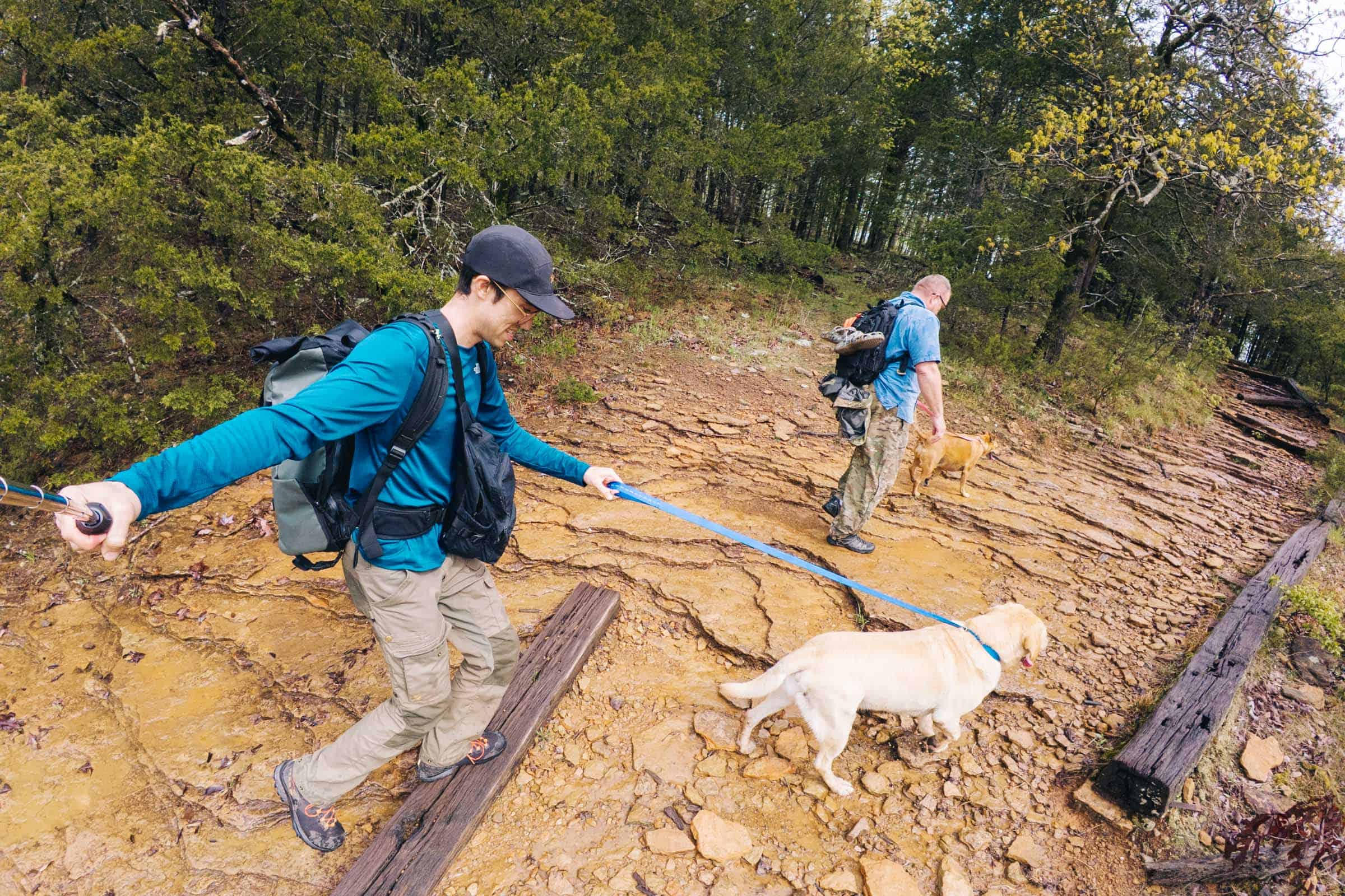 Top of Yellow Rock Trail Arkansas