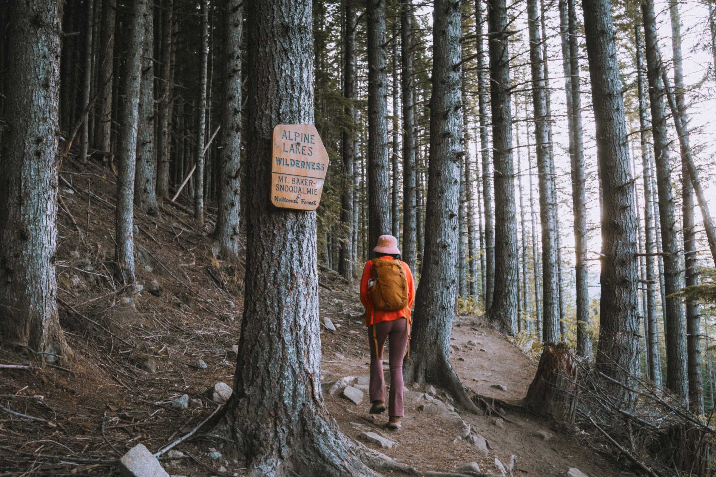 Alpine Lakes Wilderness sign at Talapus and Olallie Lakes Trail