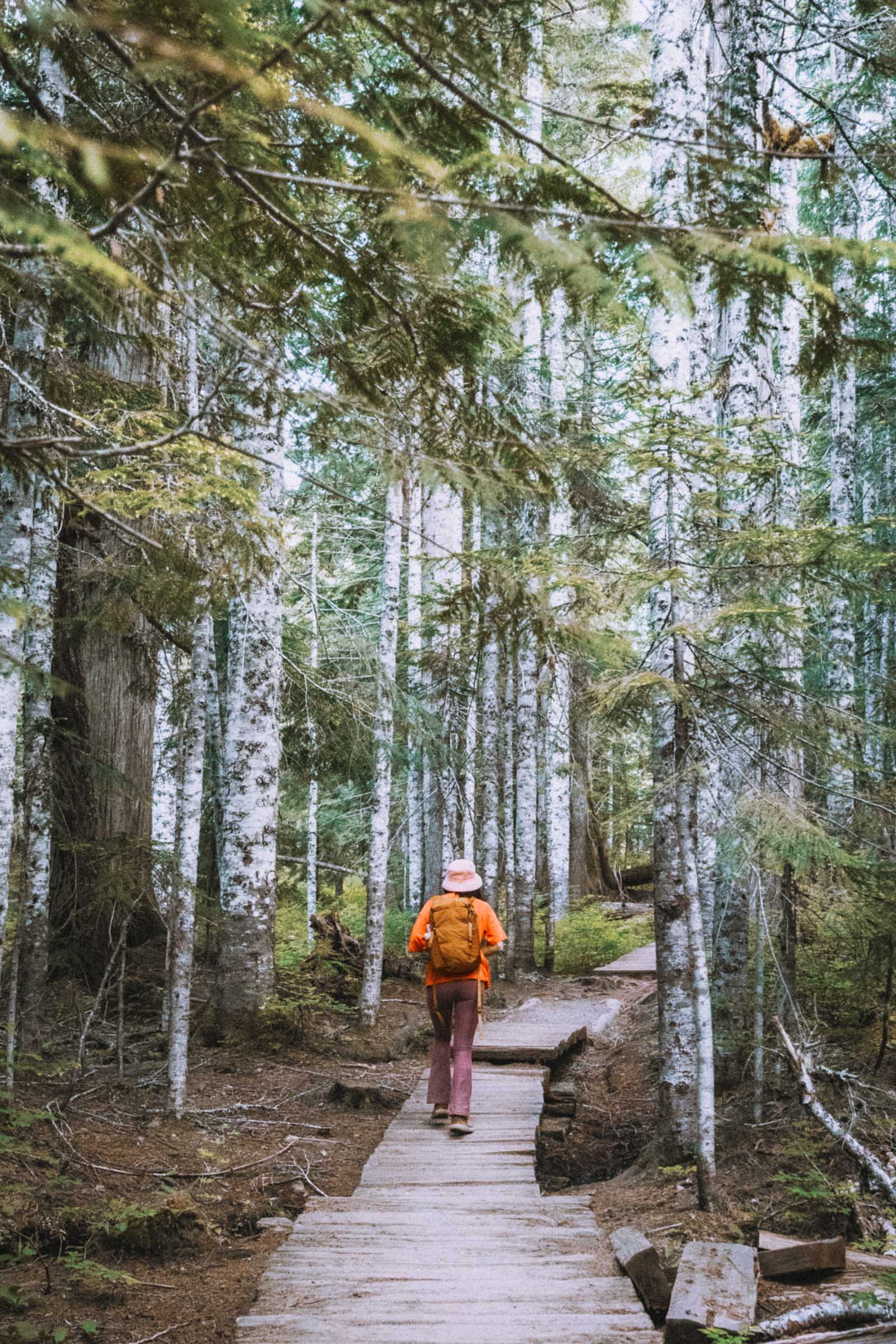Wooden boardwalk near Talapus Lake Trail