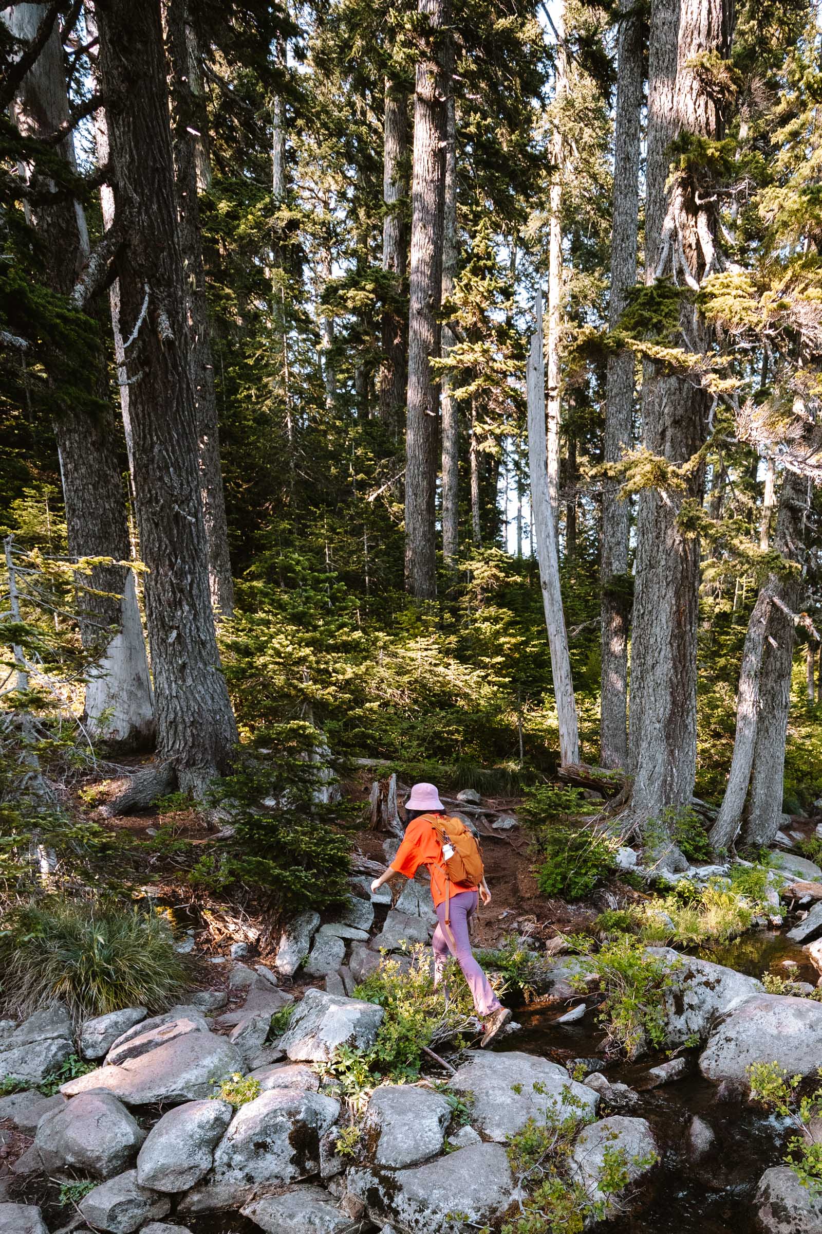 Hiking over stream at Mason Lake