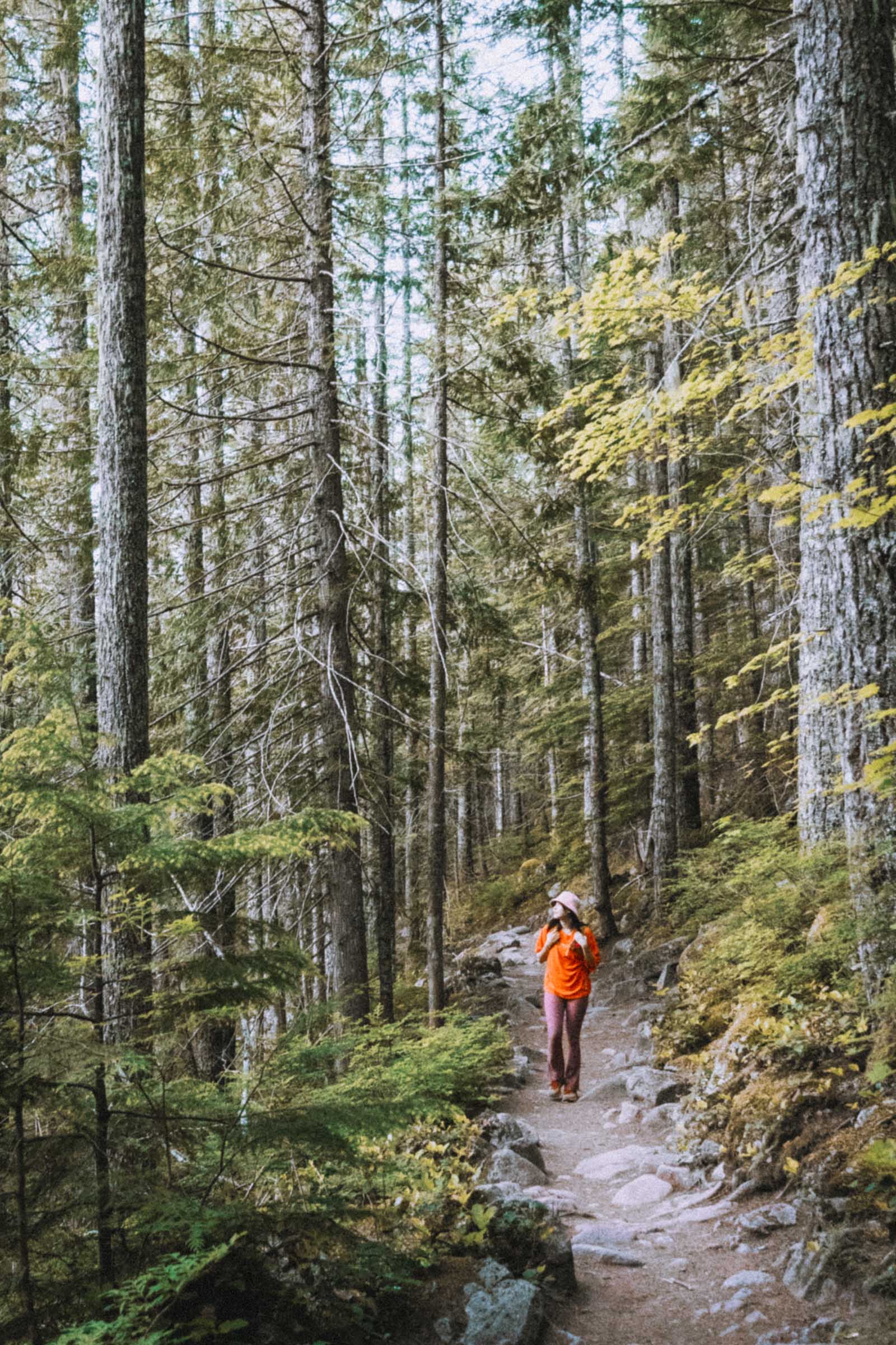 Hiking the Talapus and Olallie Lake Trail