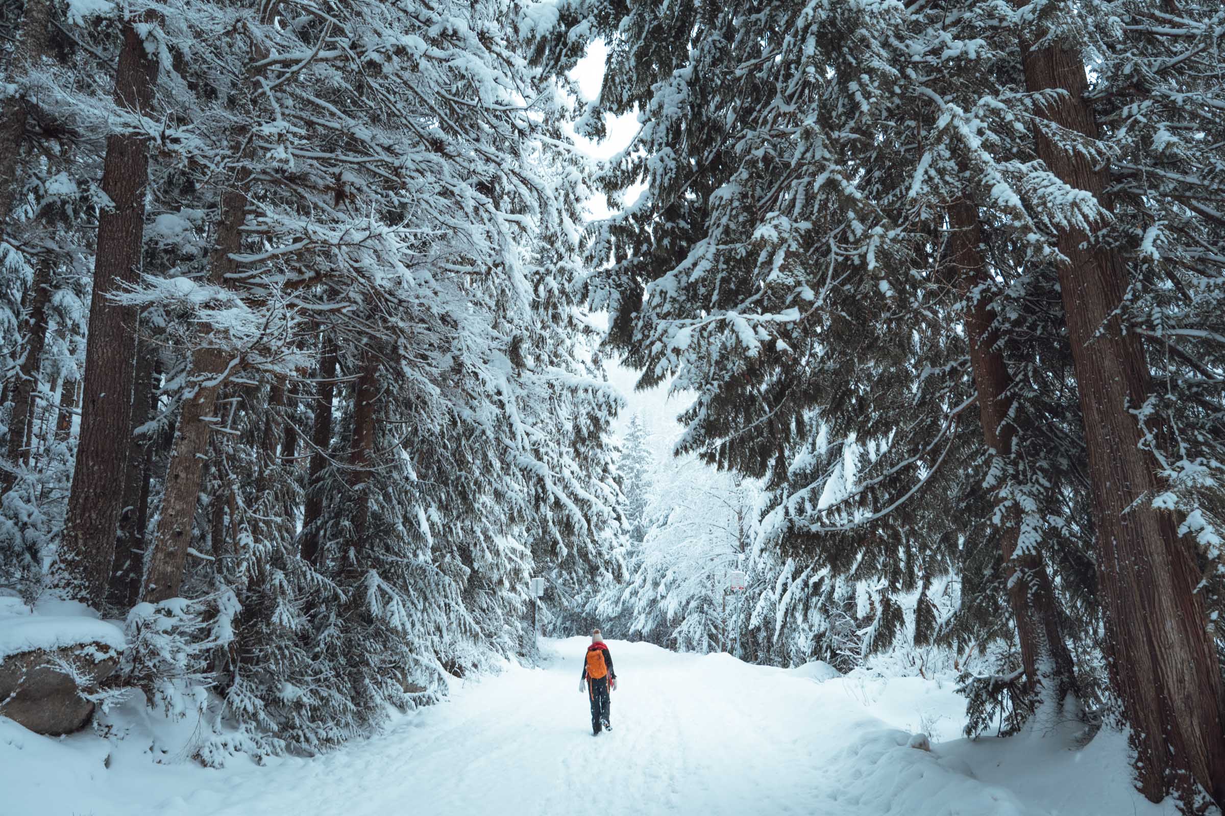 Snowy trail to Franklin Falls