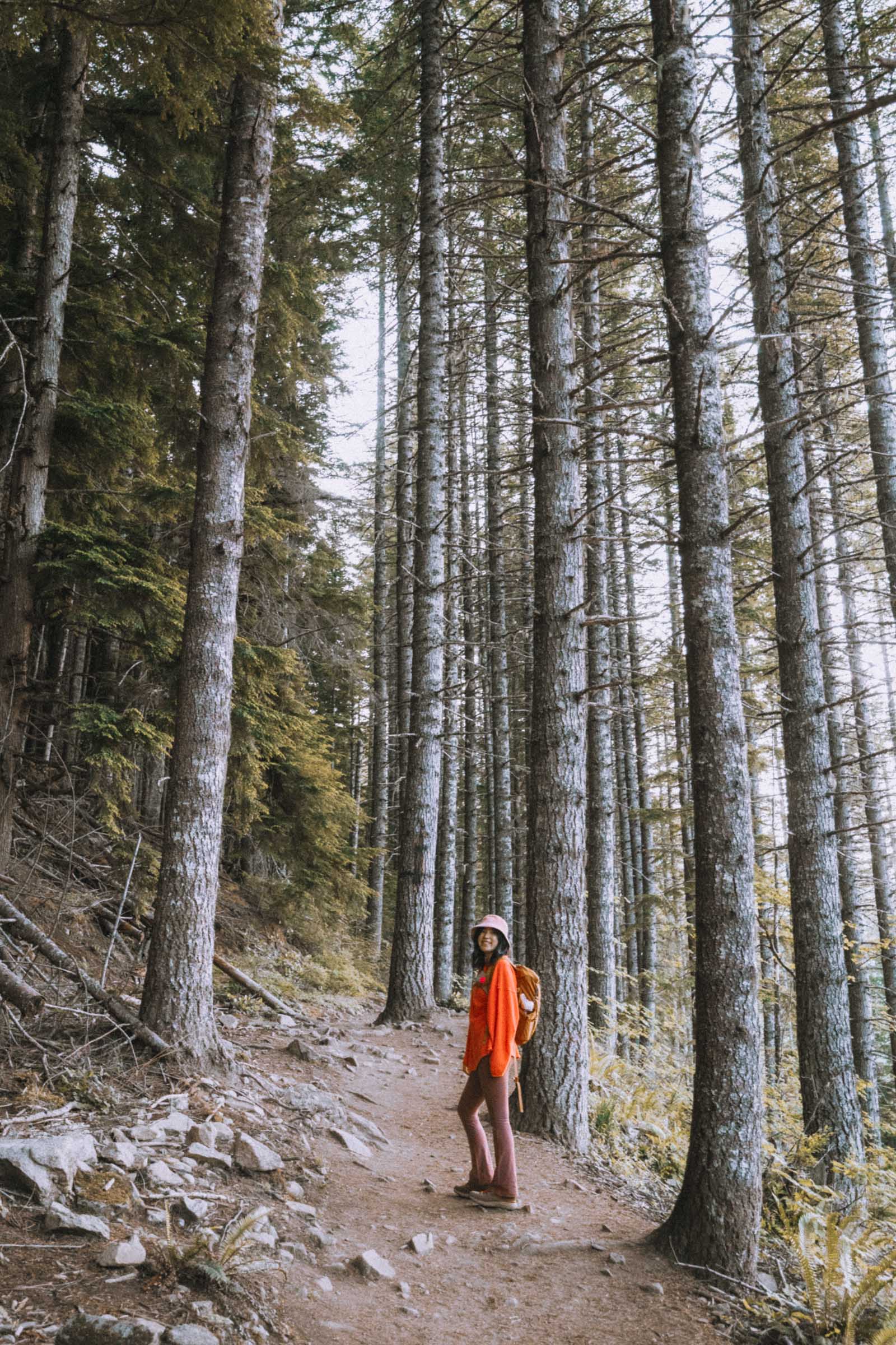 Hiking through forest to Talapus Lake Washington