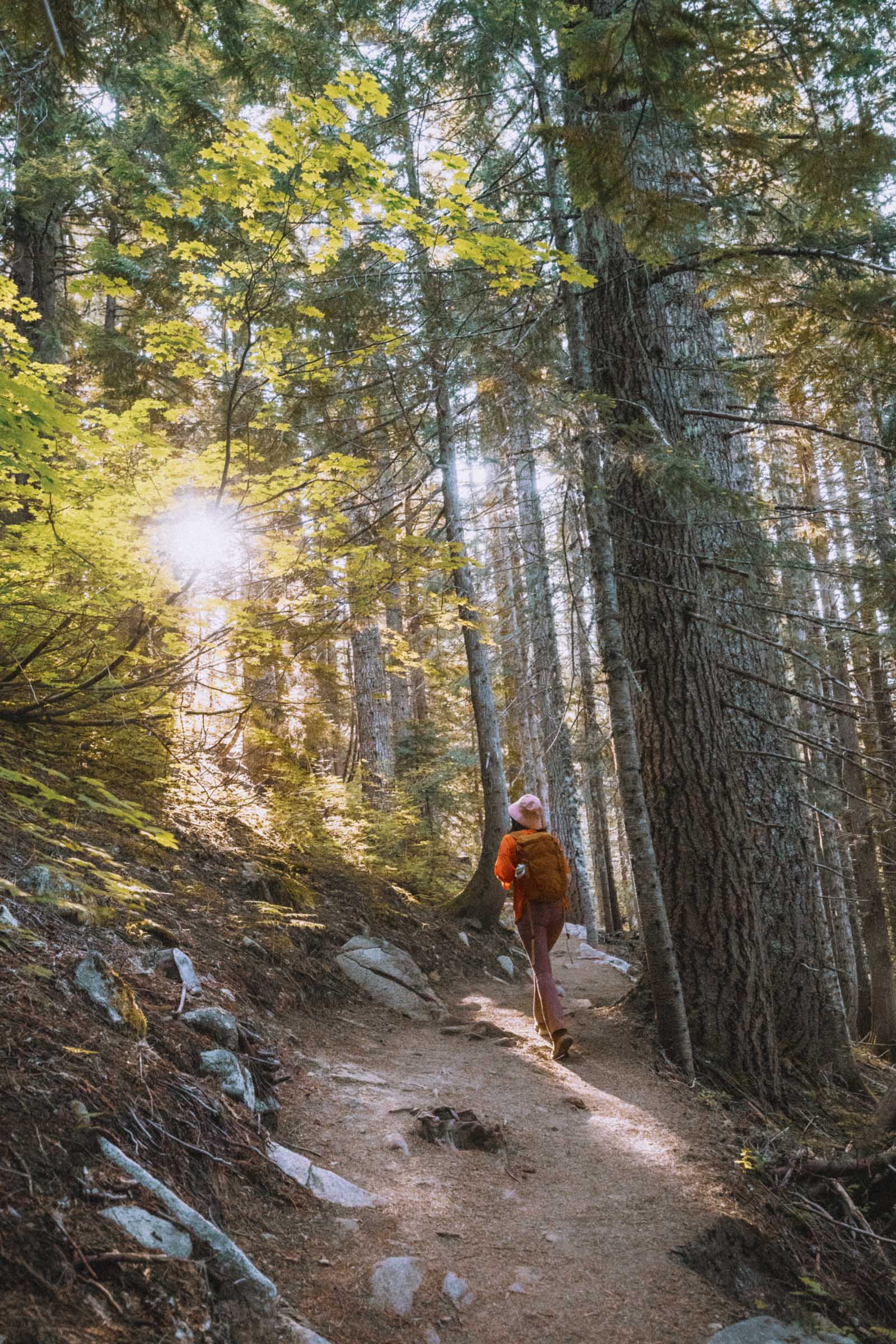 Hiking through the forest to Olallie Lake Washington
