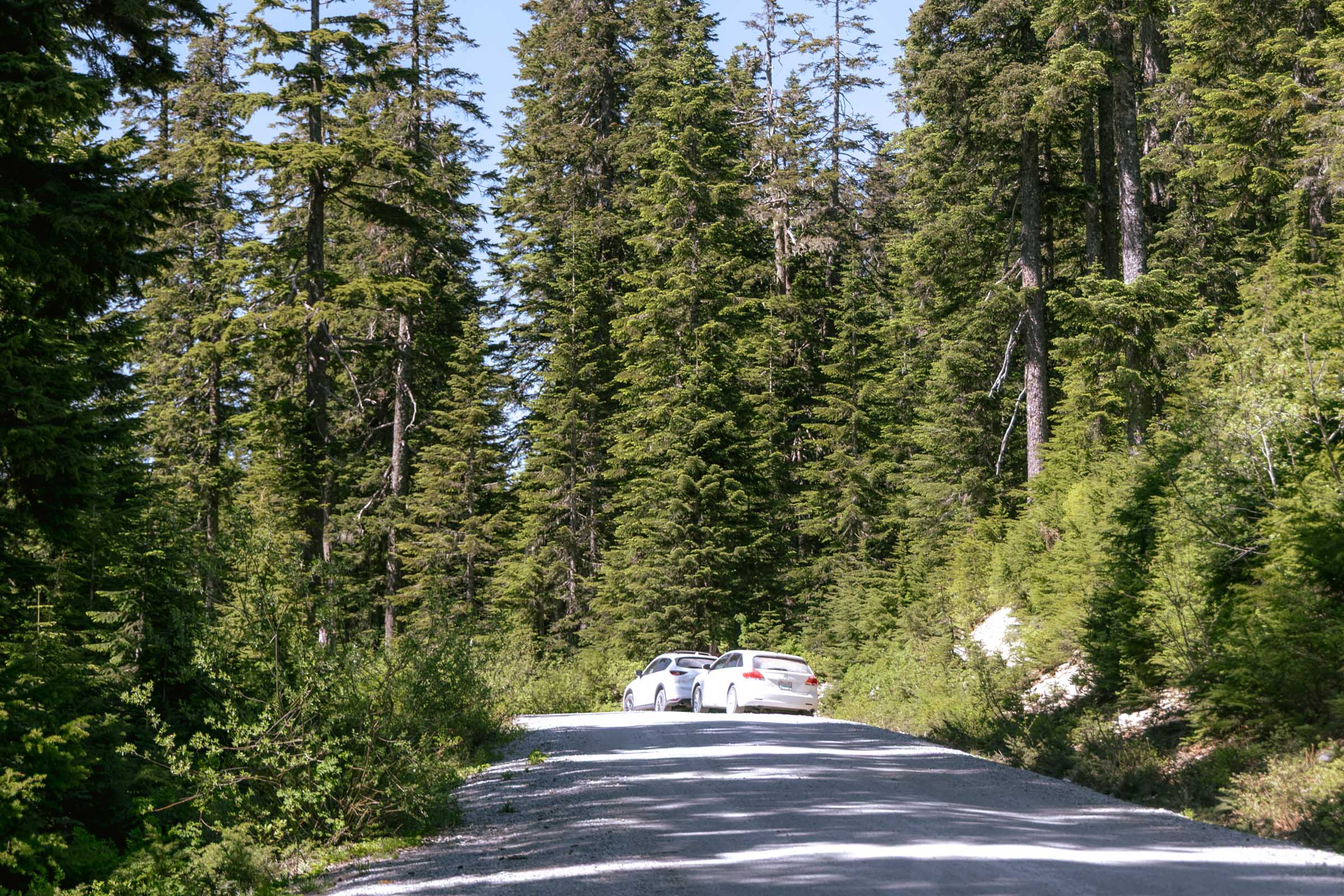 Parking for Mount Catherine Trail