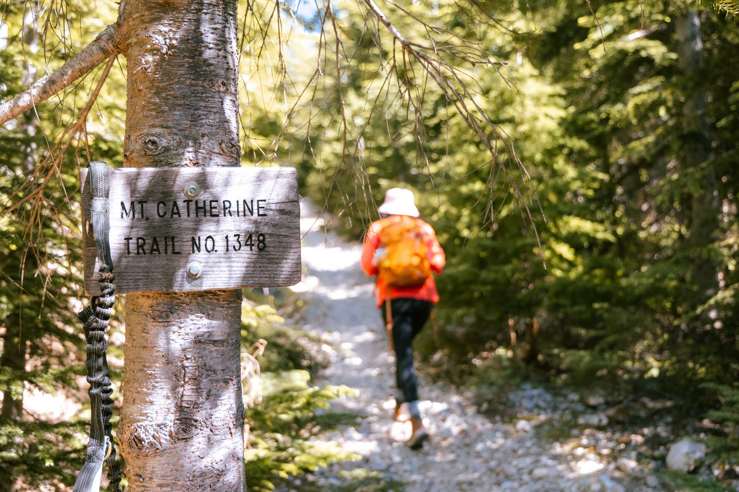 Mount Catherine Trail sign