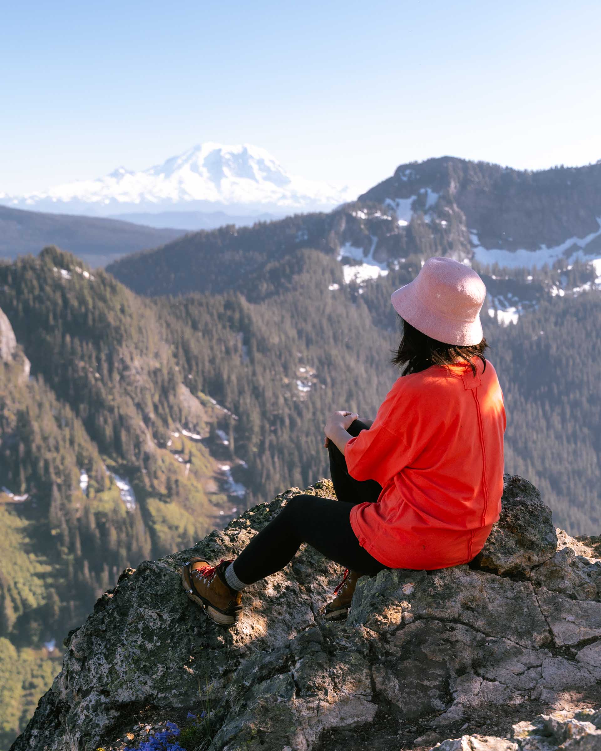 Mount Rainier from Mount Catherine summit