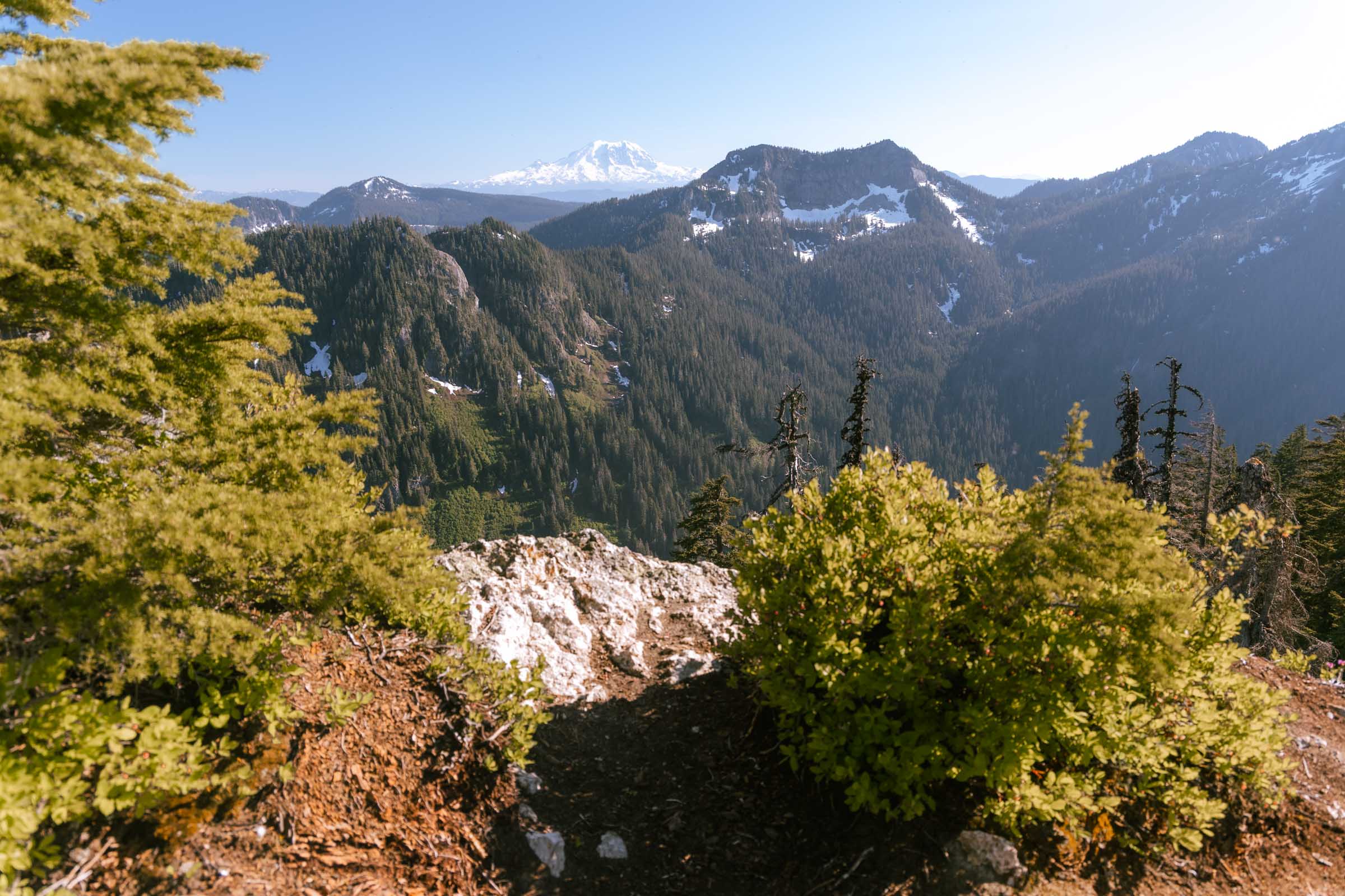 View of Mount Rainier from Mount Catherine