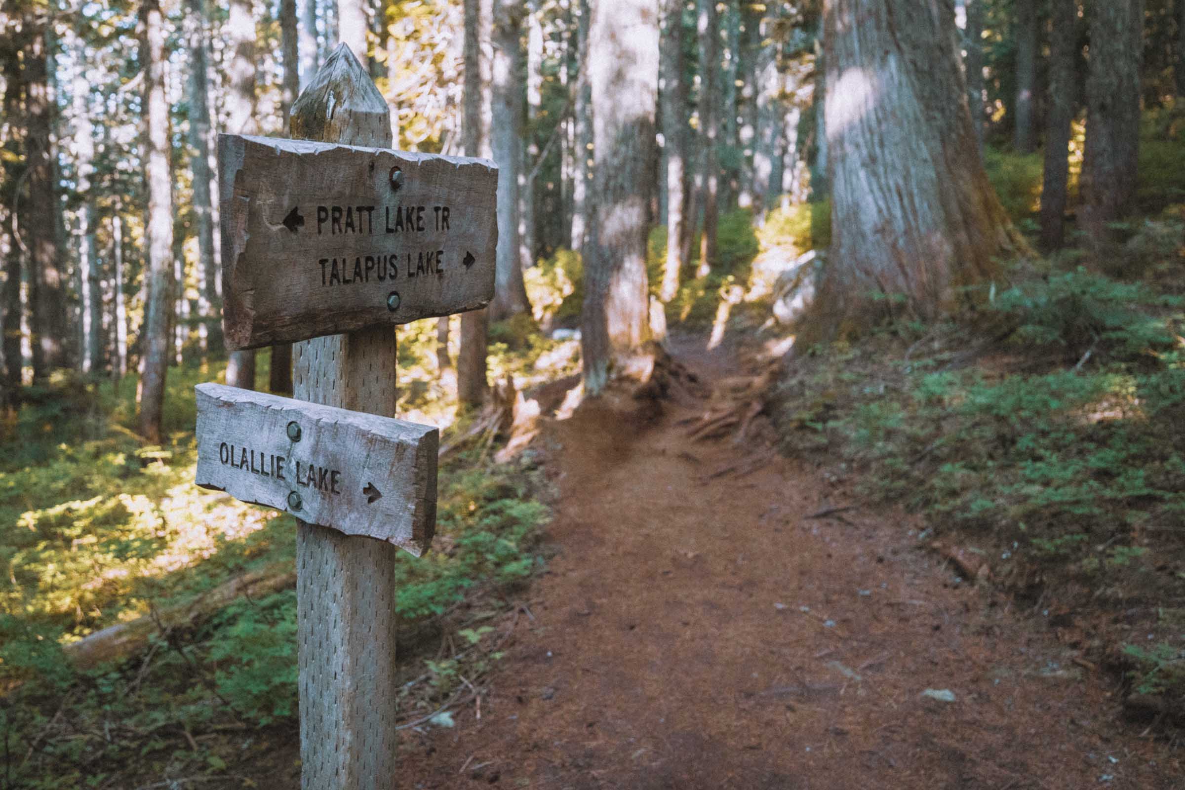 Talapus and Olallie Lake Trail Sign