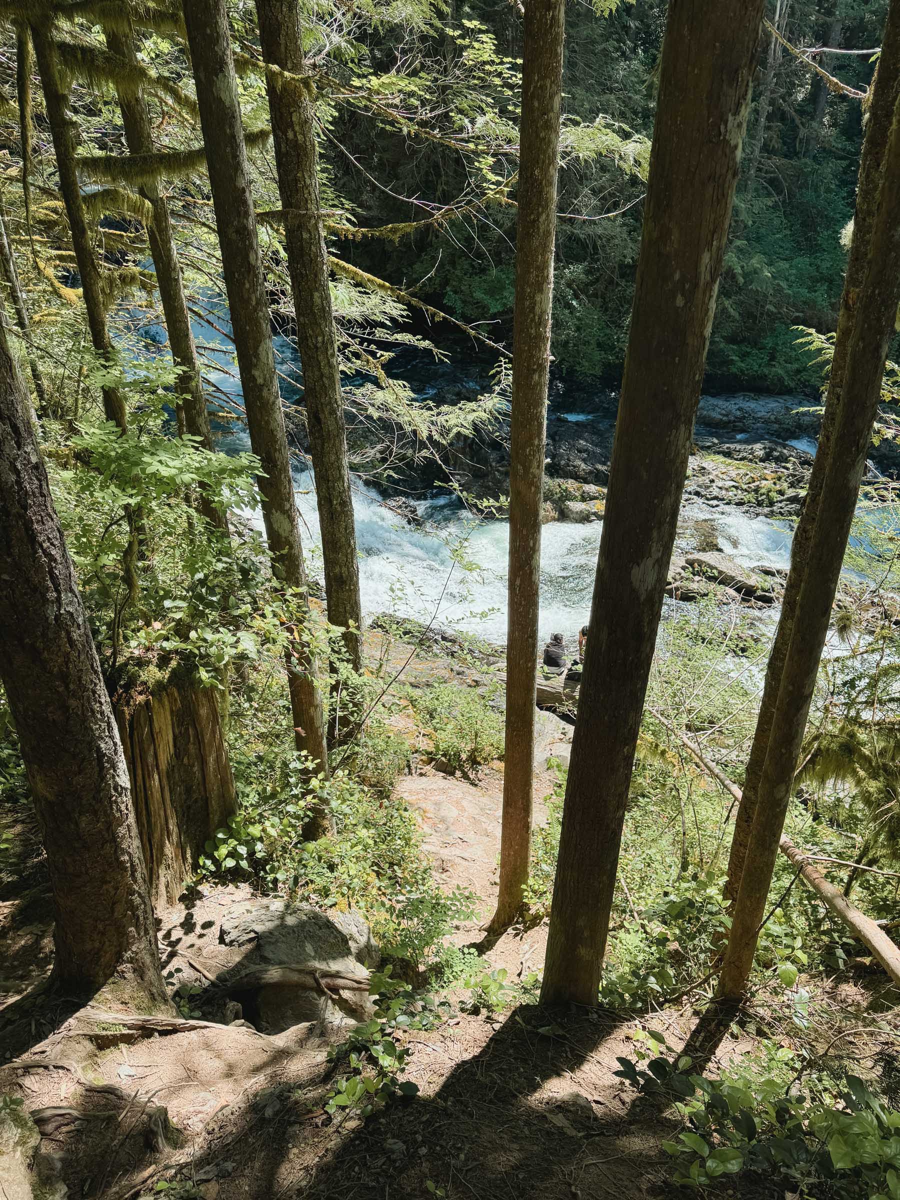 Trail to Lower Wallace Falls river
