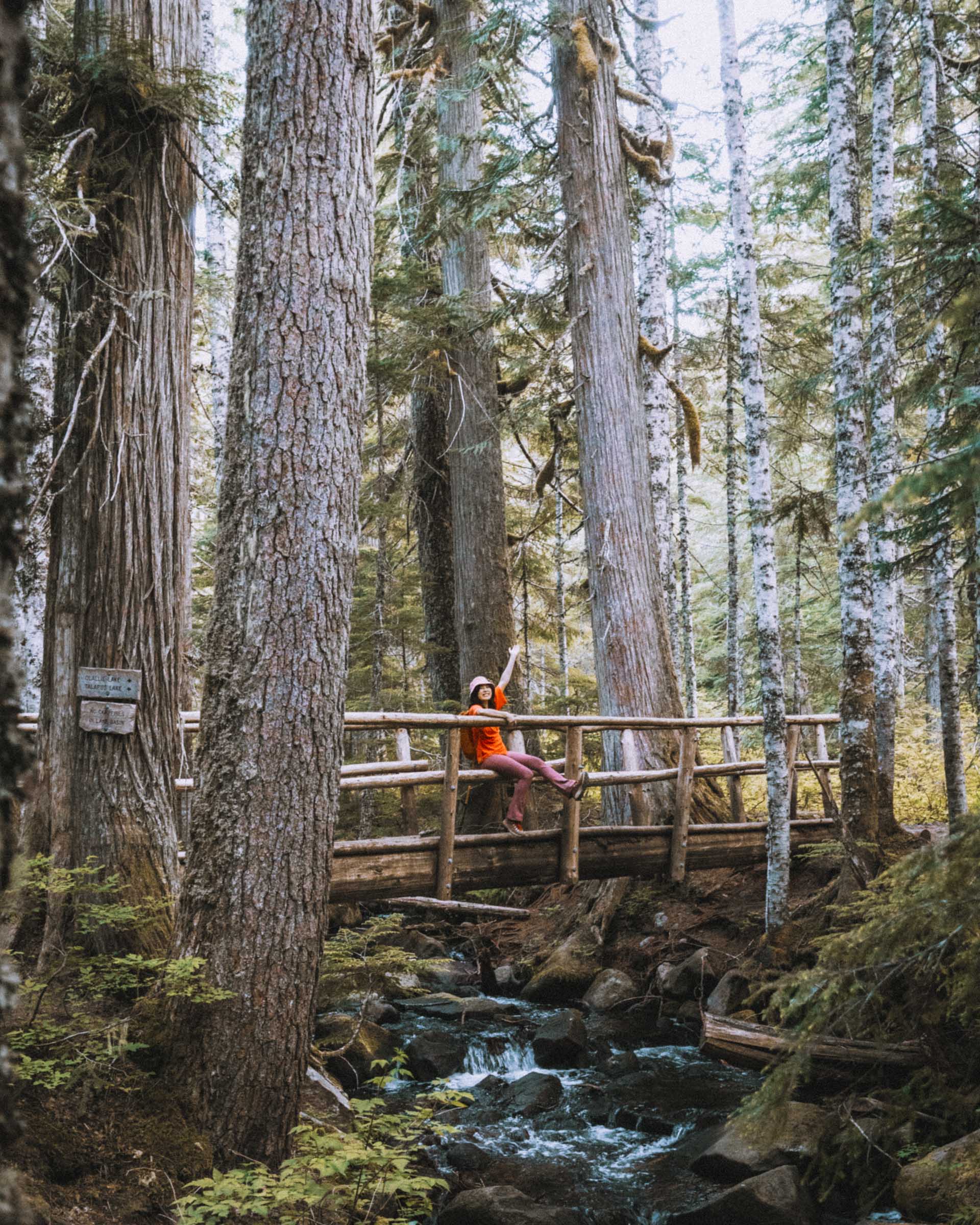 Wooden Bridge over creek near Talapus Lake