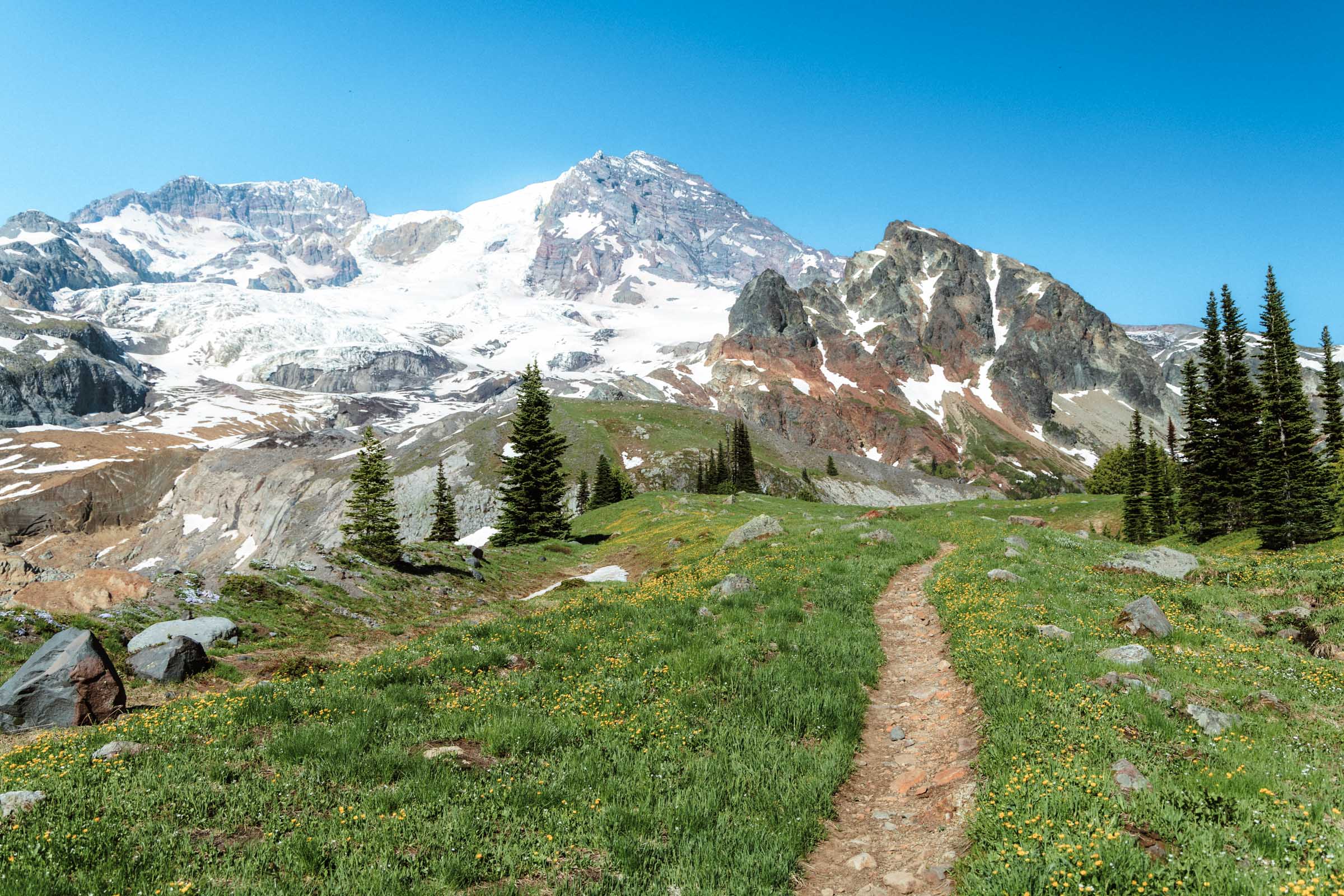 Emerald Ridge Mount Rainier National Park